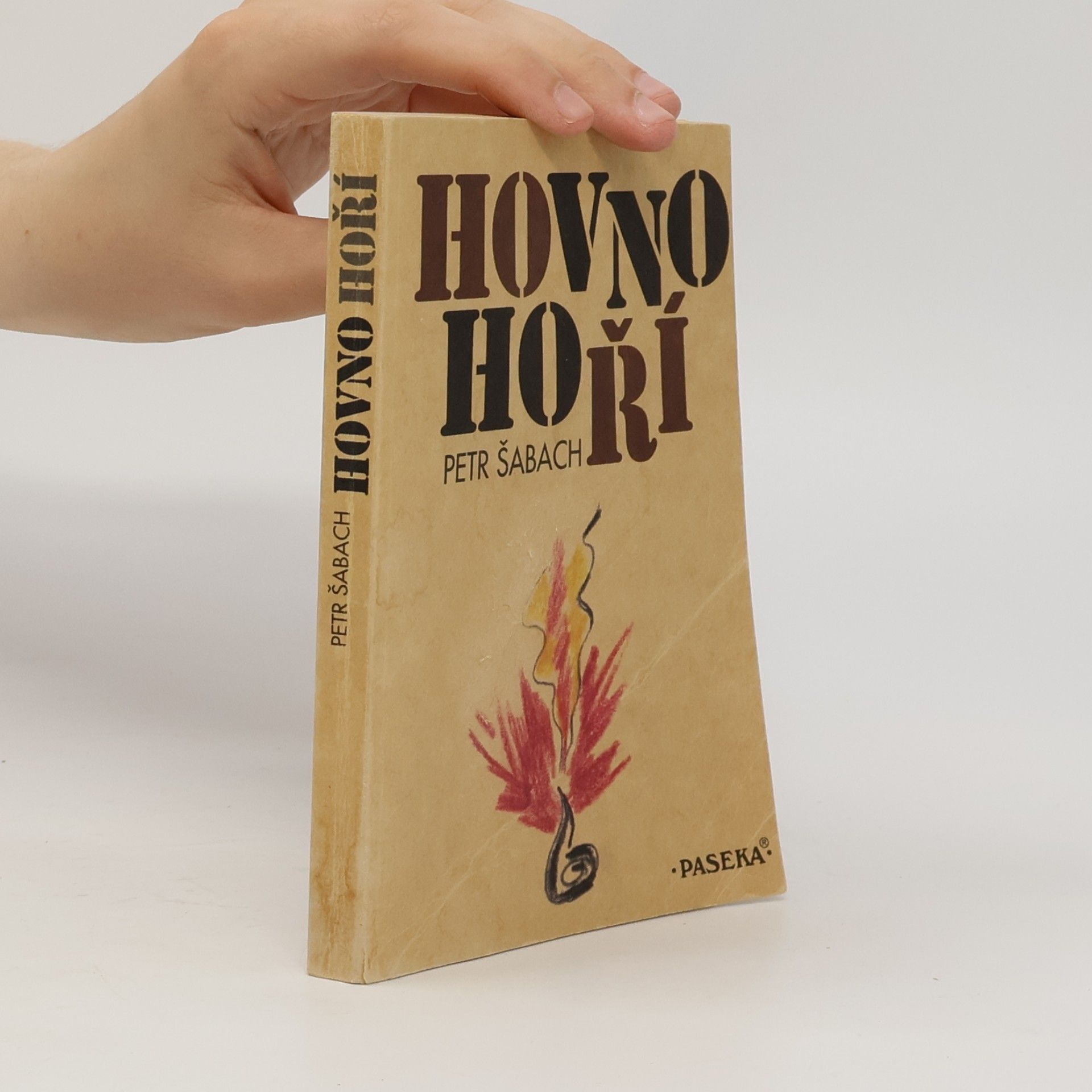 Petr Šabach Hovno hoří