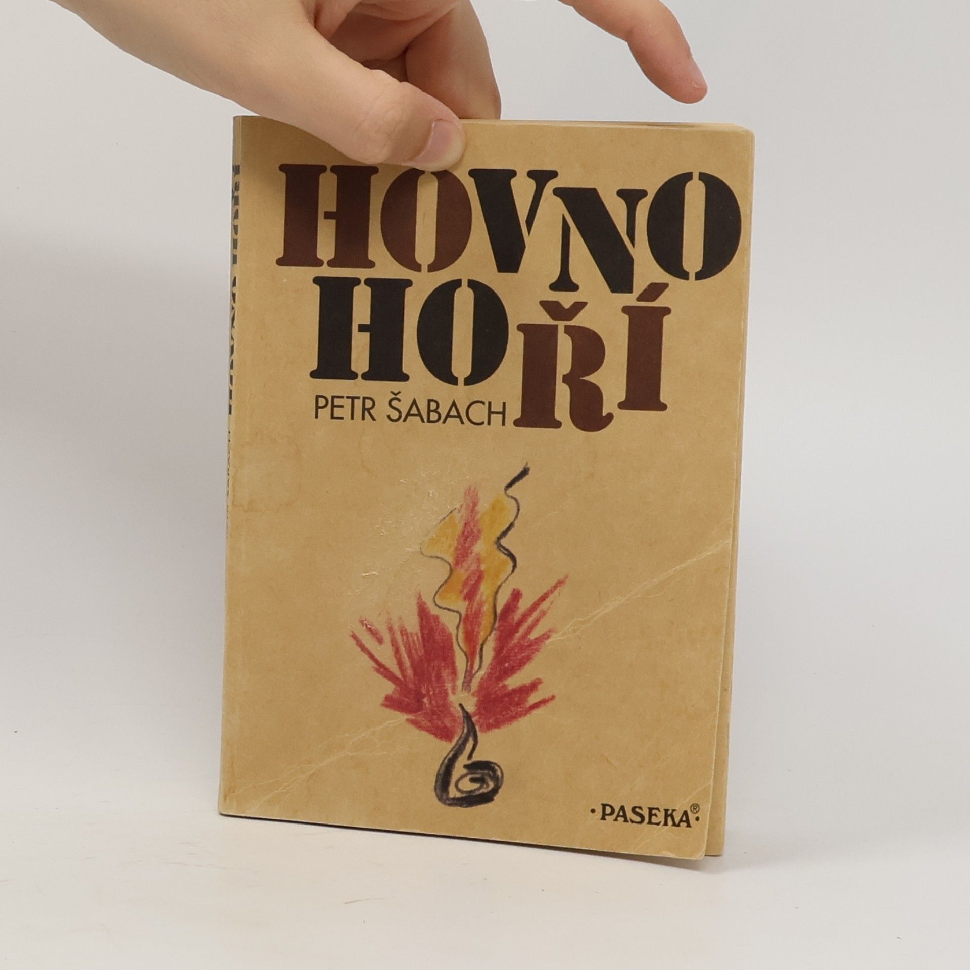 Petr Šabach Hovno hoří