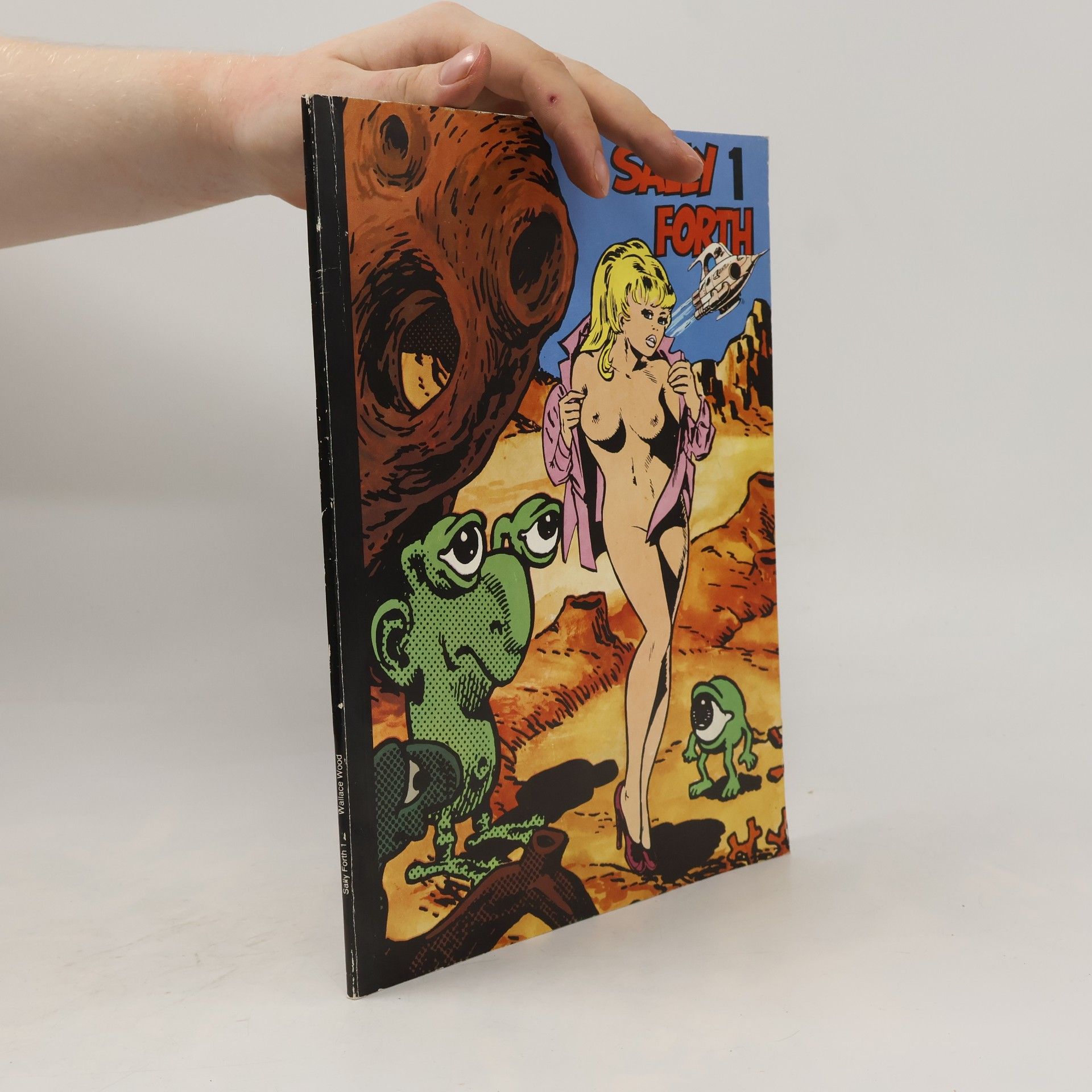 Kolektiv autorů Sally Forth 1