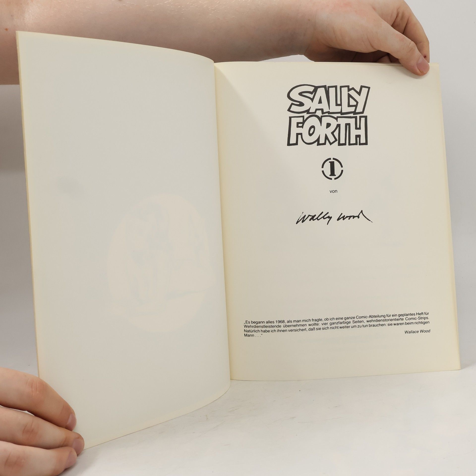 Kolektiv autorů Sally Forth 1