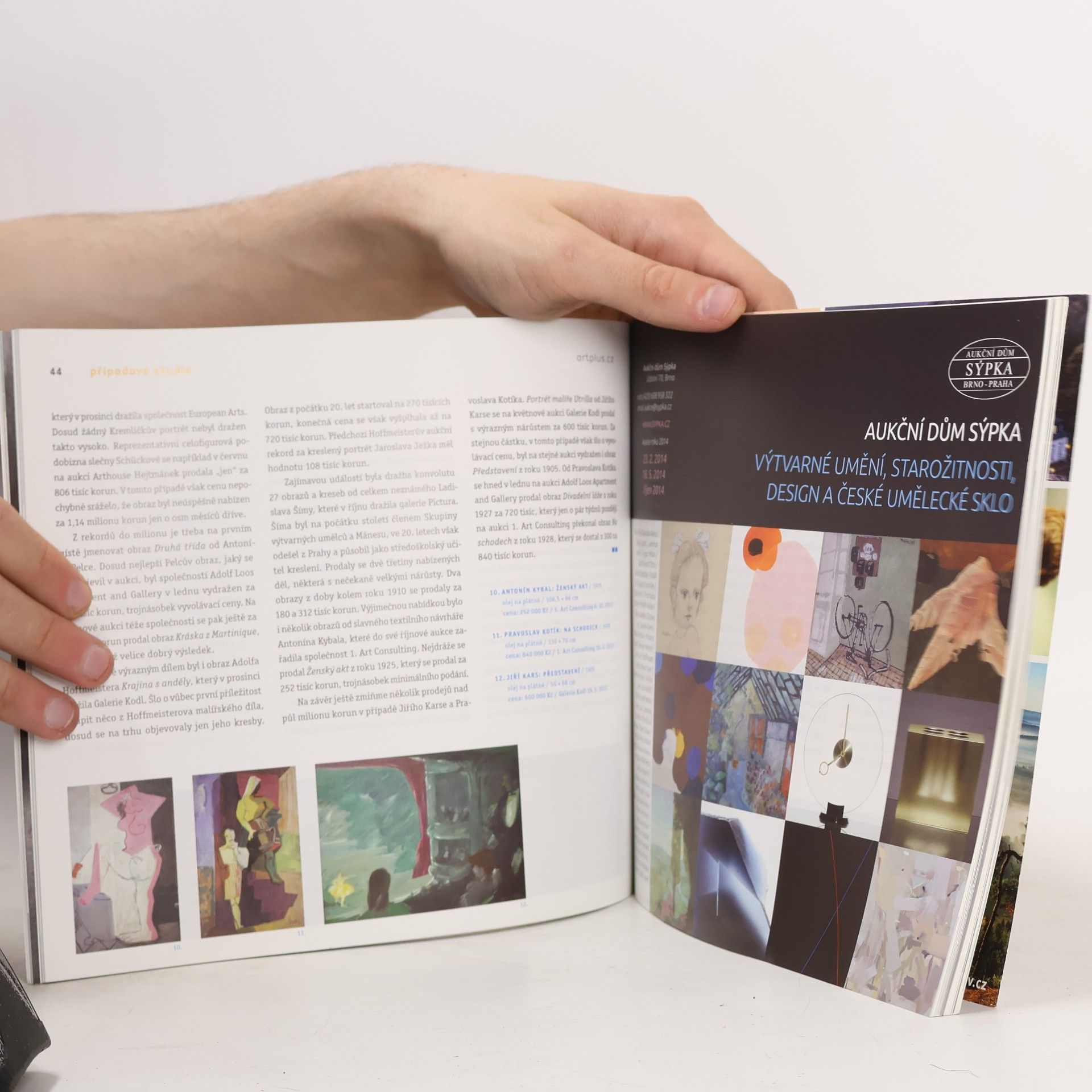 Kolektiv autorů Ročenka Art+ 2014