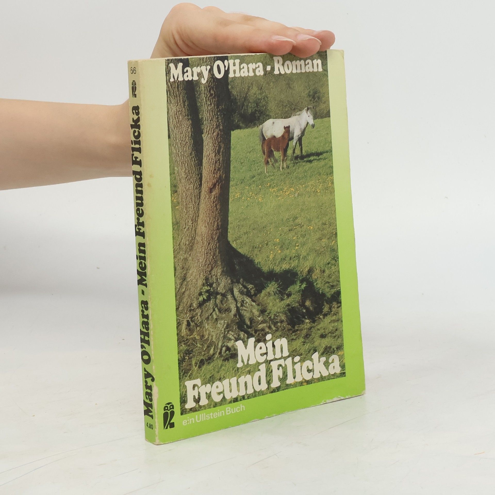 Mary O'Hara Mein Freund Flicka