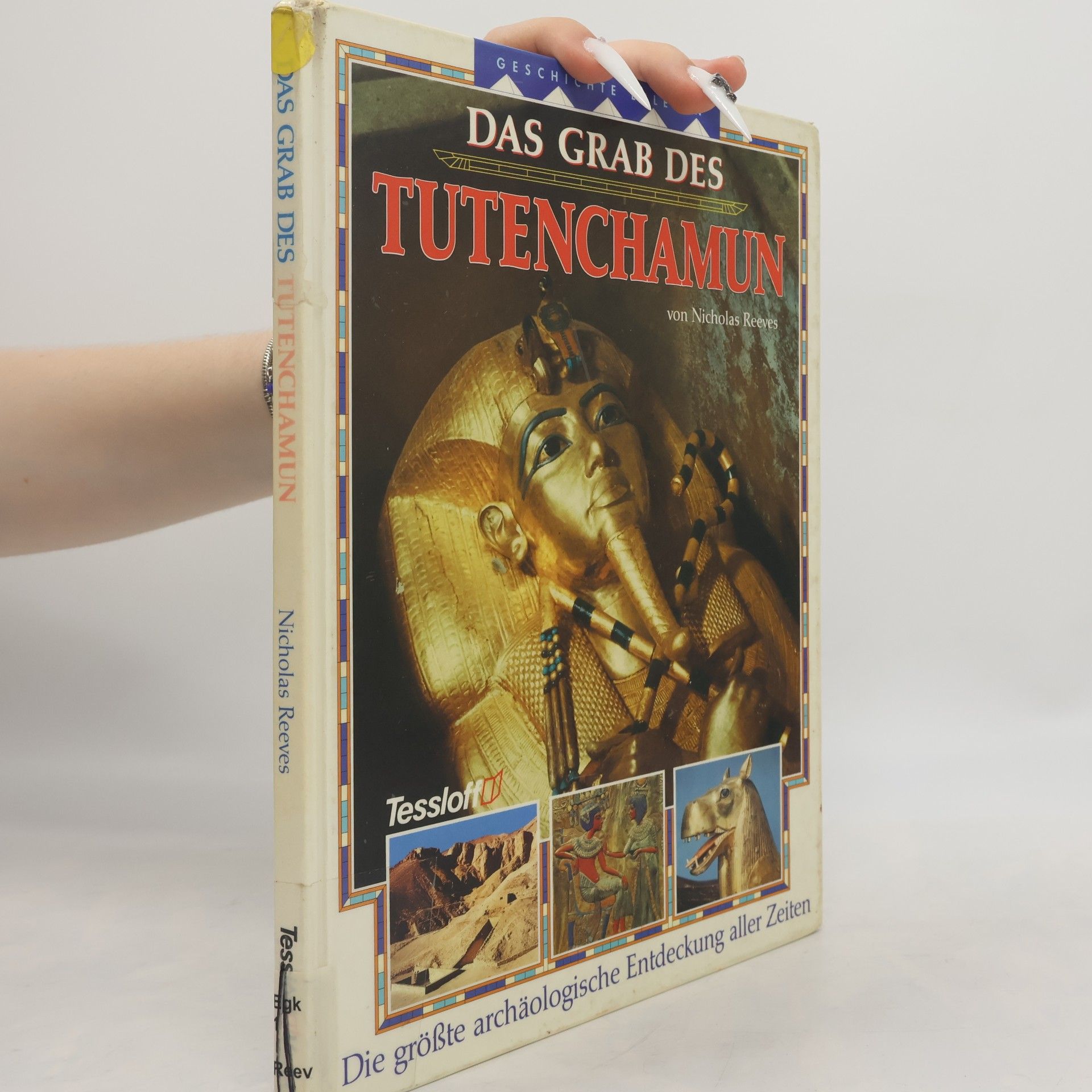 C. N. Reeves Das Grab des Tutenchamun