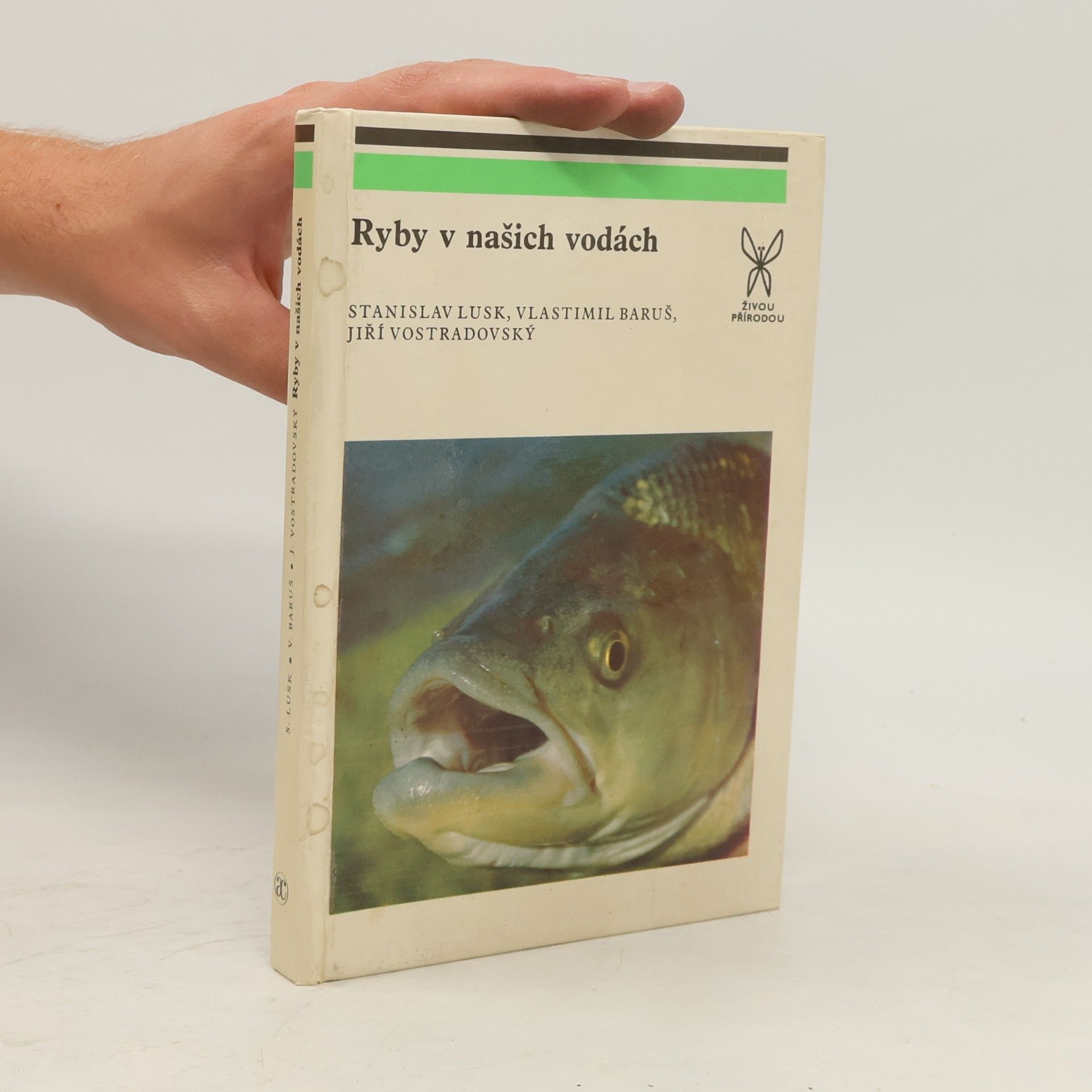 Autorenkollektiv Ryby v našich vodách