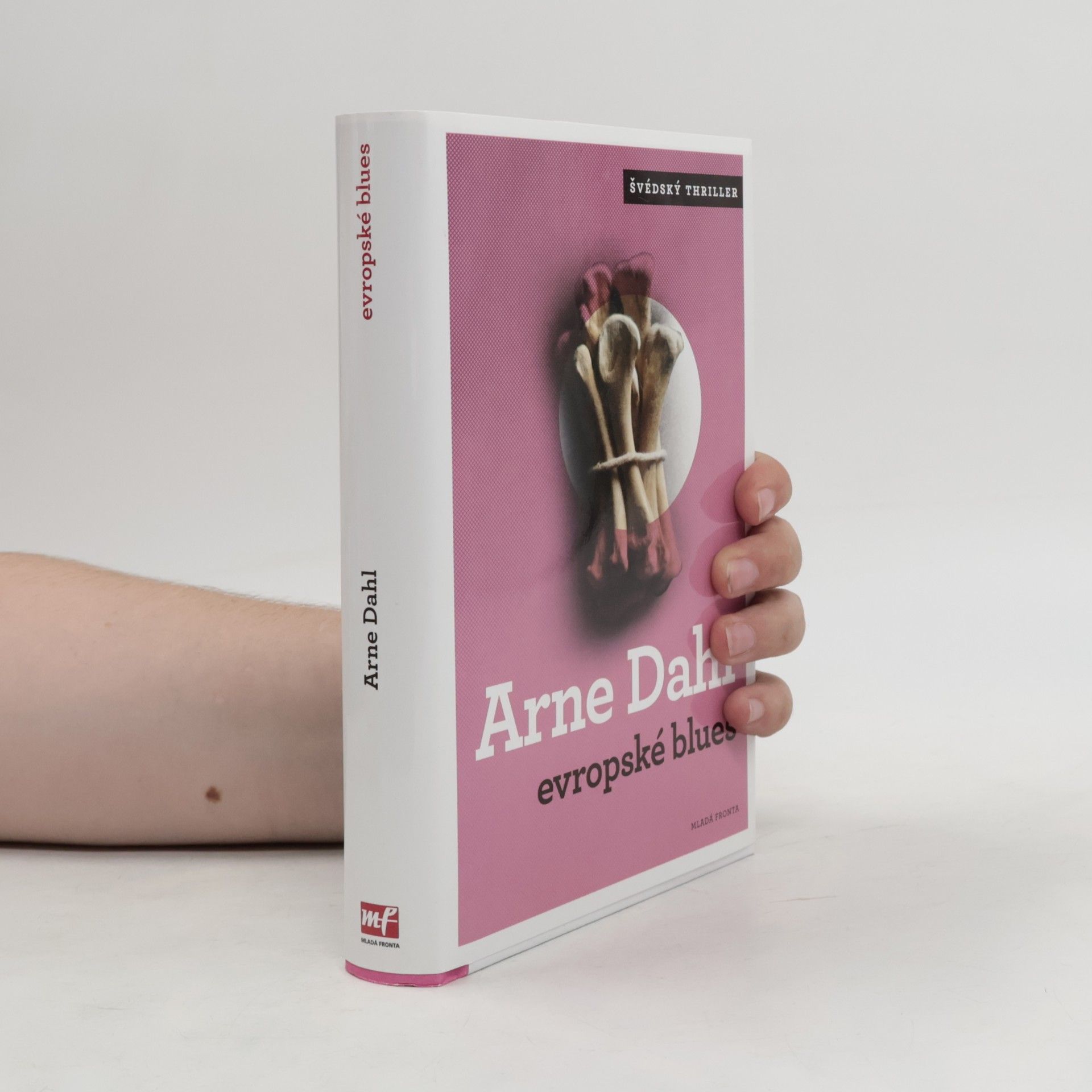 Arne Dahl Evropské blues