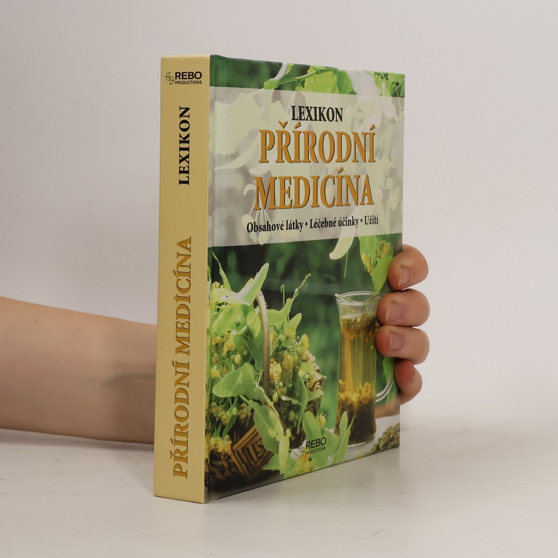 Anne Iburg Lexikon přírodní medicíny