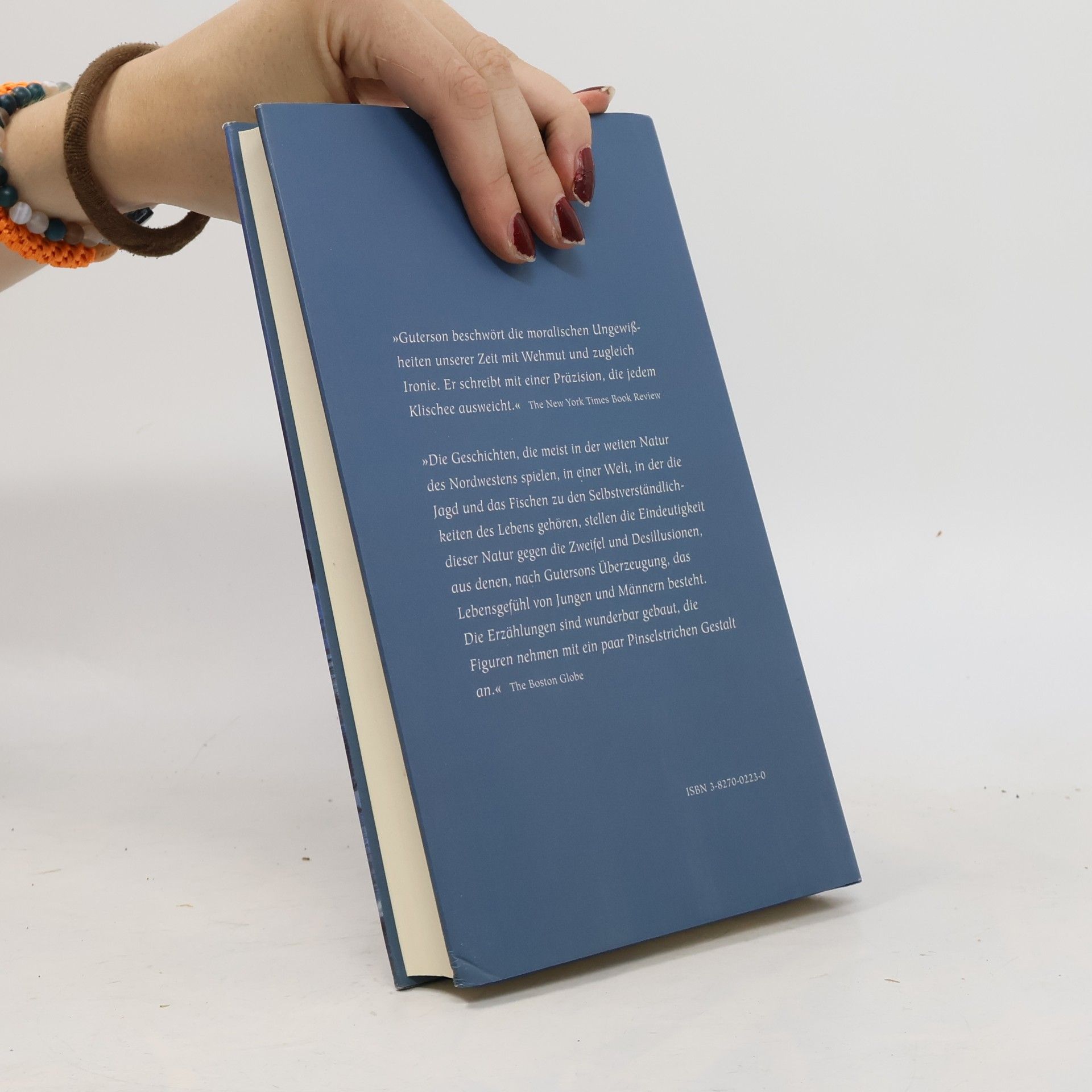 David Guterson Das Land vor uns, das Land hinter uns