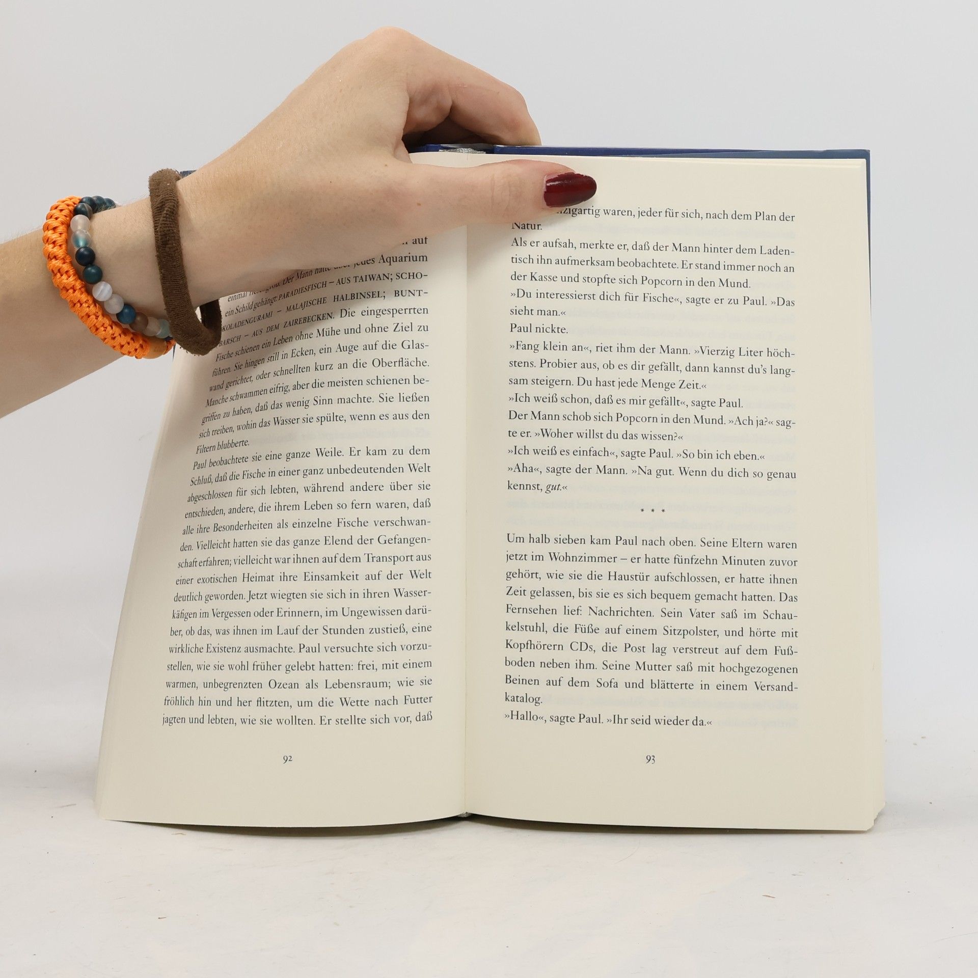 David Guterson Das Land vor uns, das Land hinter uns