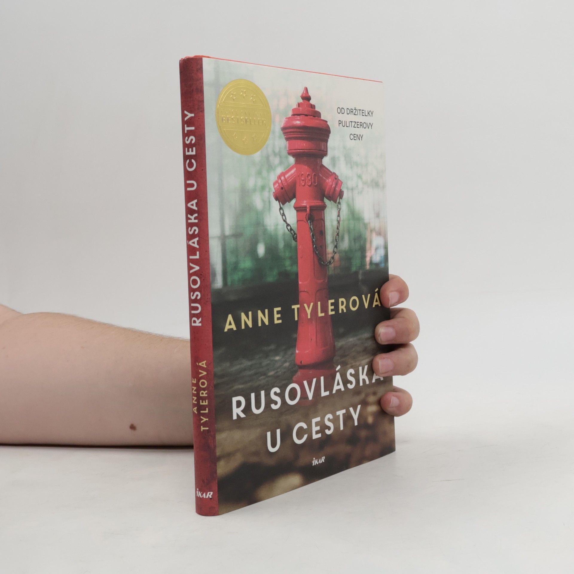 Anne Tyler Rusovláska u cesty