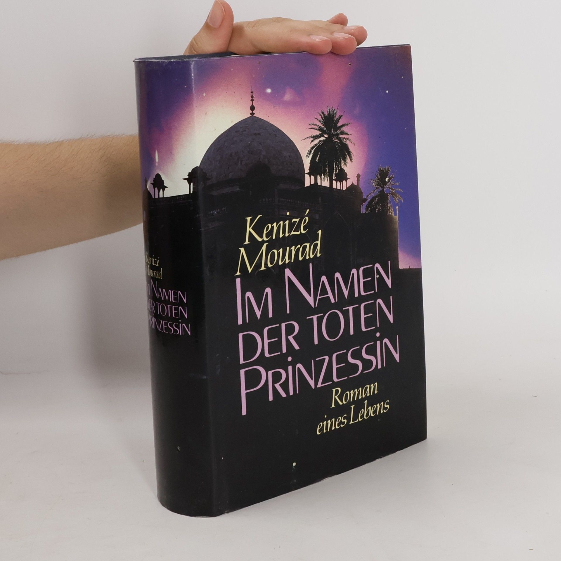 Kenizé Mourad Im Namen der toten Prinzessin