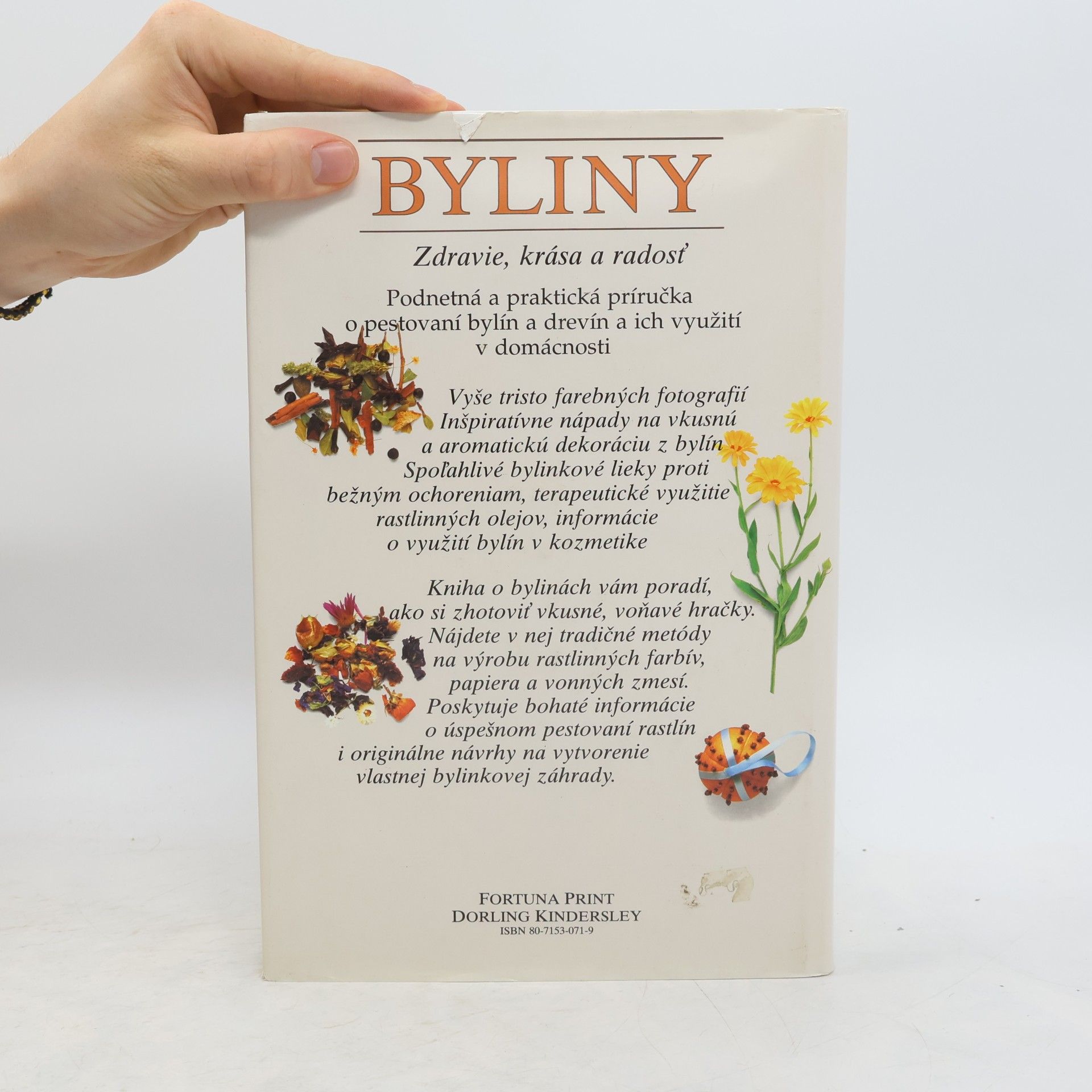 Lesley Bremness Byliny. Zdravie, krása a radosť