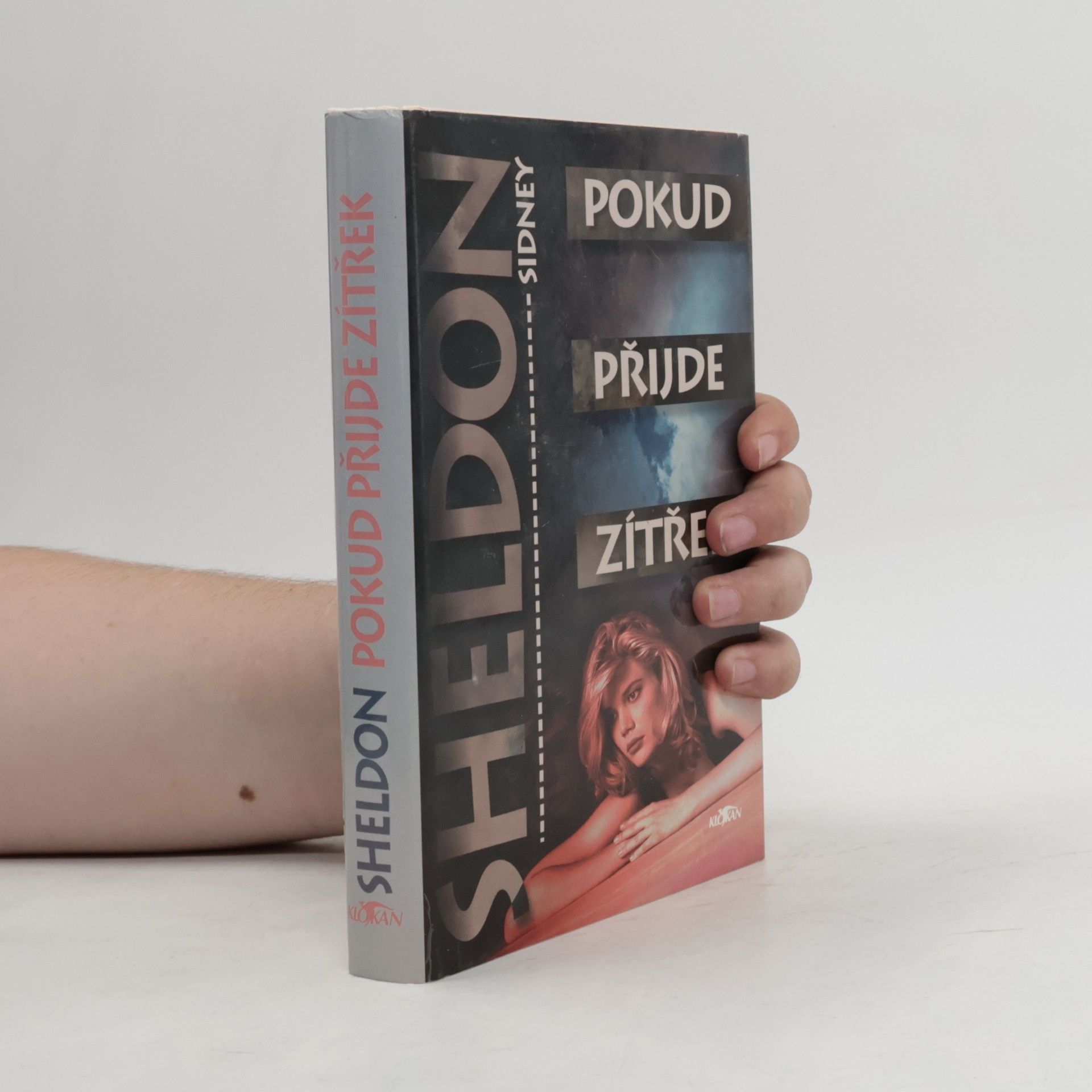 Sidney Sheldon Pokud přijde zítřek
