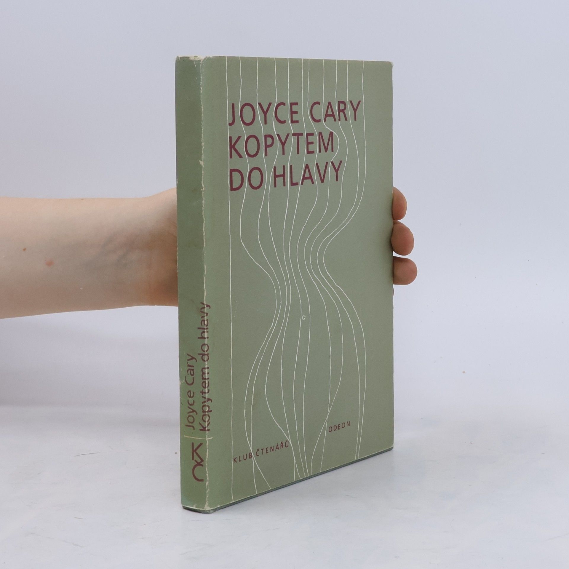 Joyce Cary Kopytem do hlavy