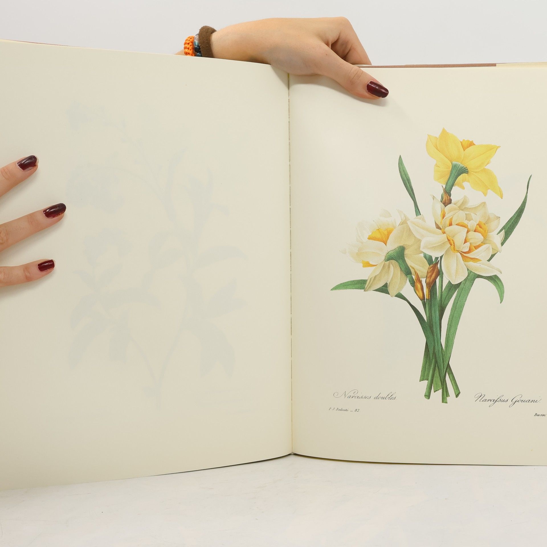 Pierre-Joseph Redouté Les plus belles fleurs et branches de fruits