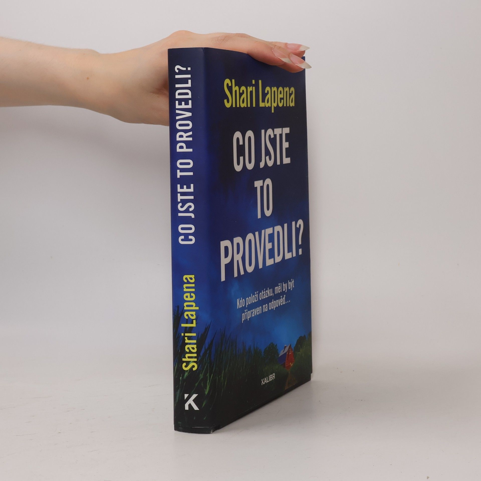 Shari Lapena Co jste to provedli?