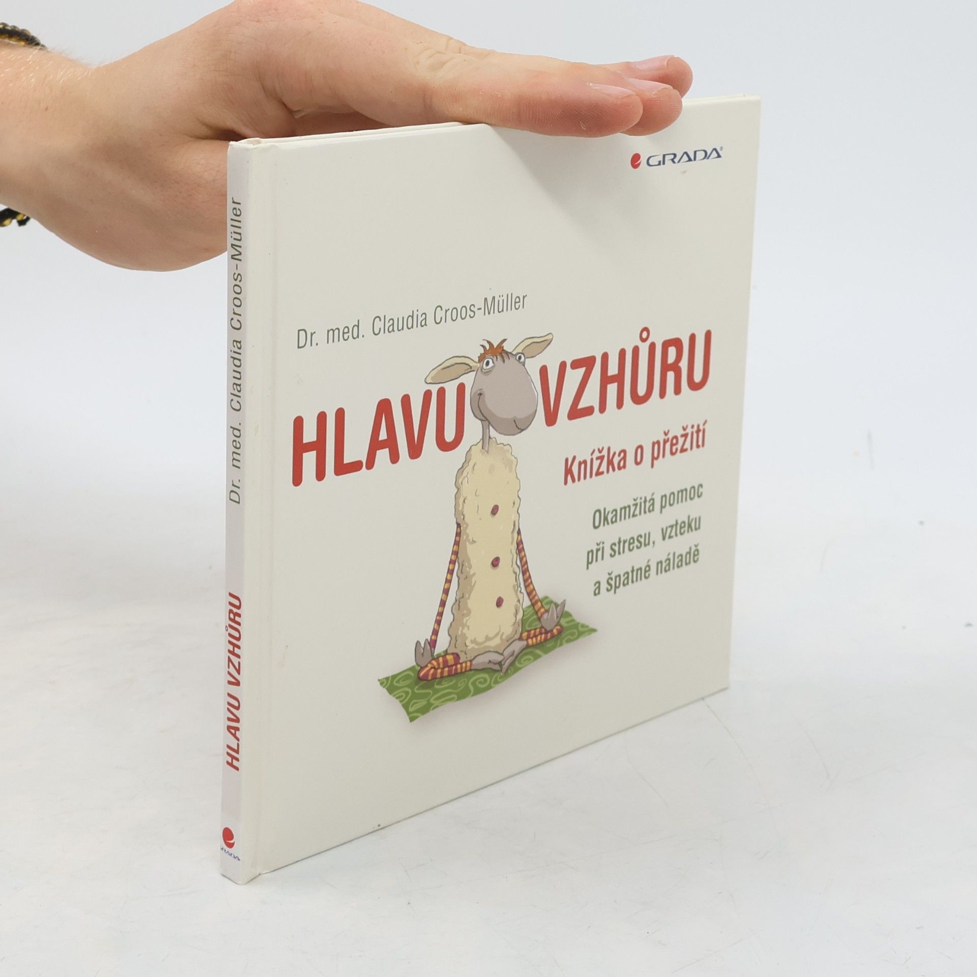Claudia Croos-Müller Hlavu vzhůru: Knížka o přežití : okamžitá pomoc při stresu, vzteku a špatné náladě