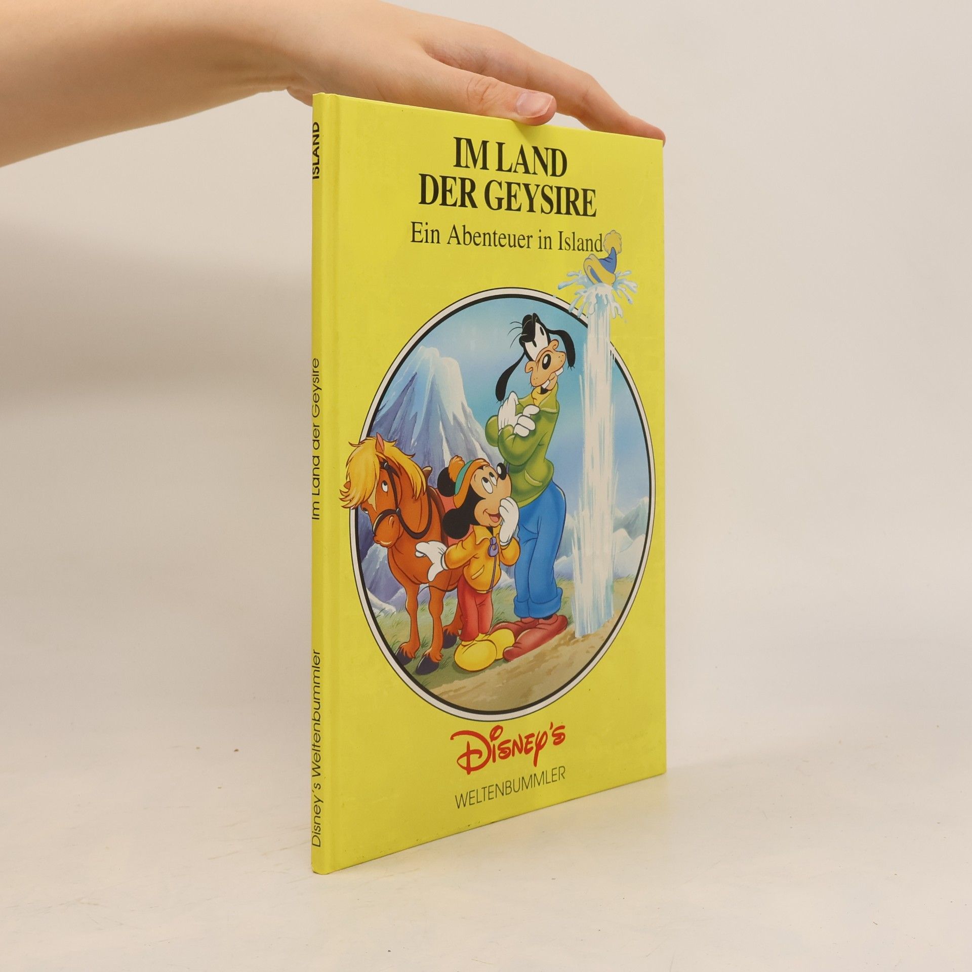 Autorenkollektiv Im Land der Geysire