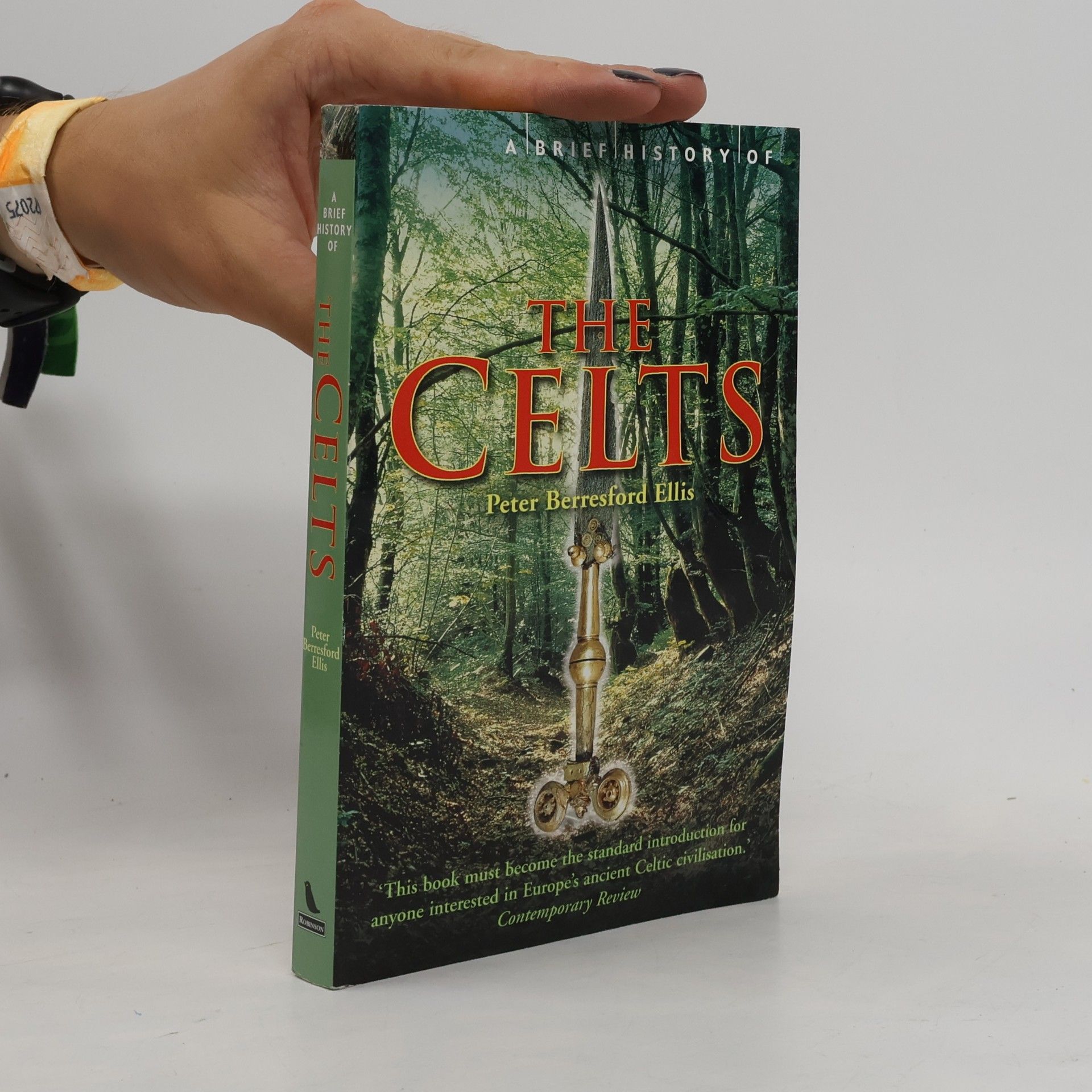 Peter Berresford Ellis A Brief History of the Celts