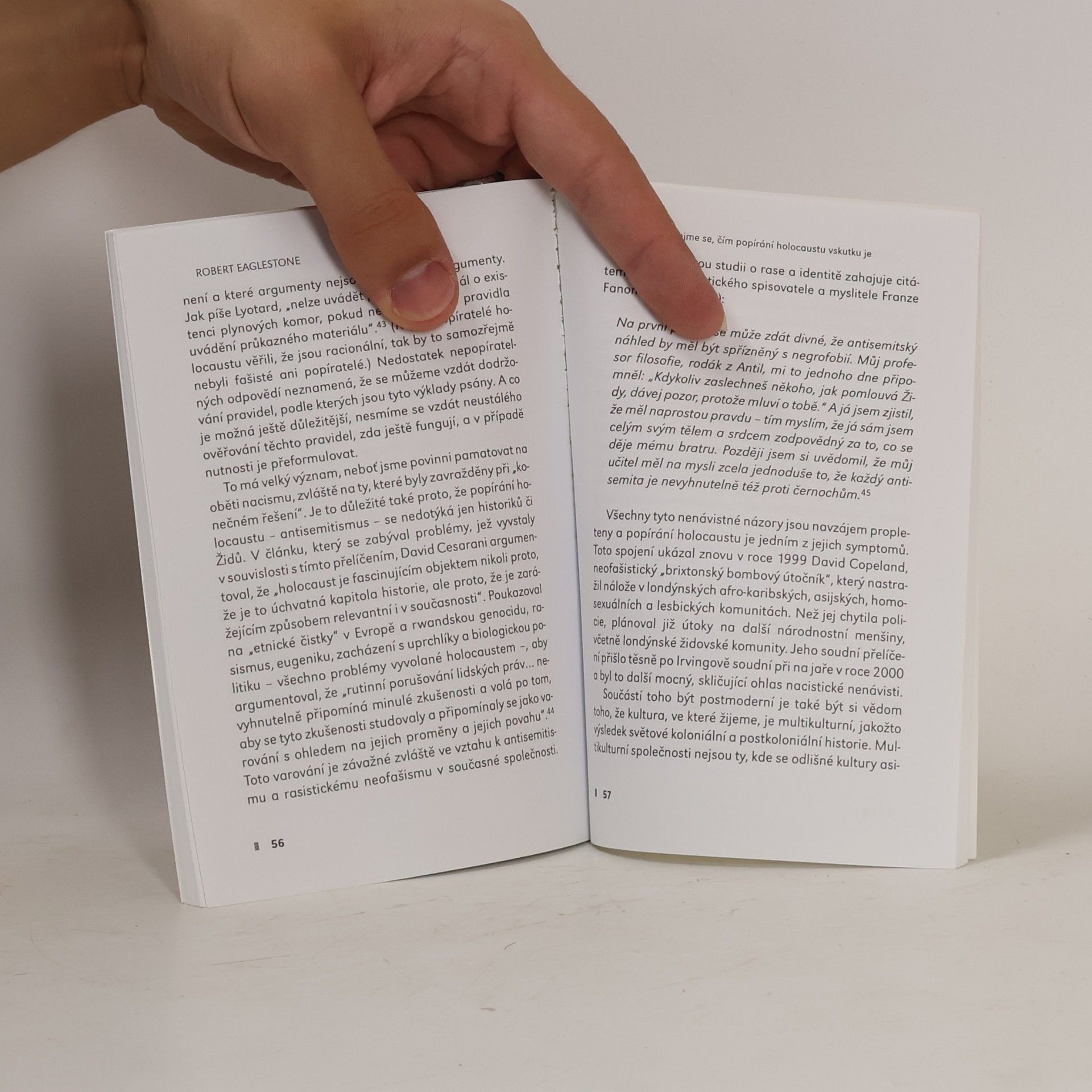 Robert Eaglestone Postmodernismus a popírání holocaustu