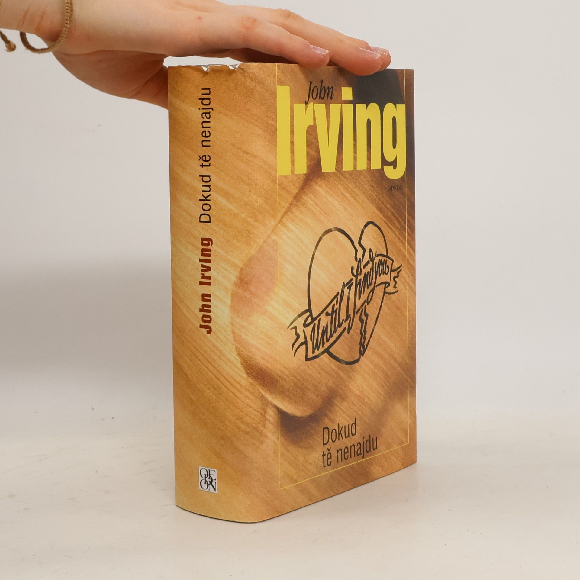 John Irving Dokud tě nenajdu