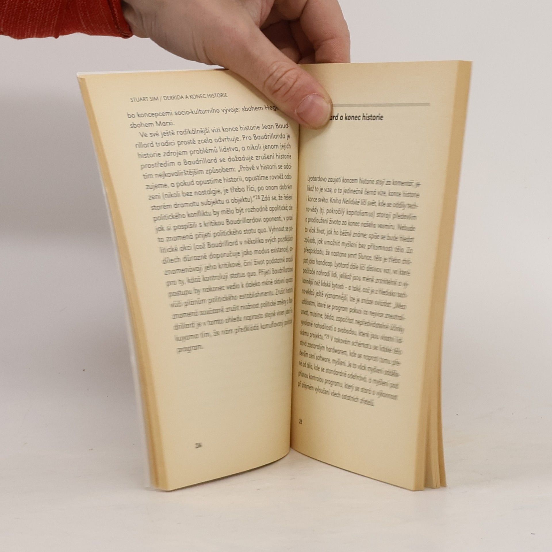 Stuart Sim Derrida a konec historie