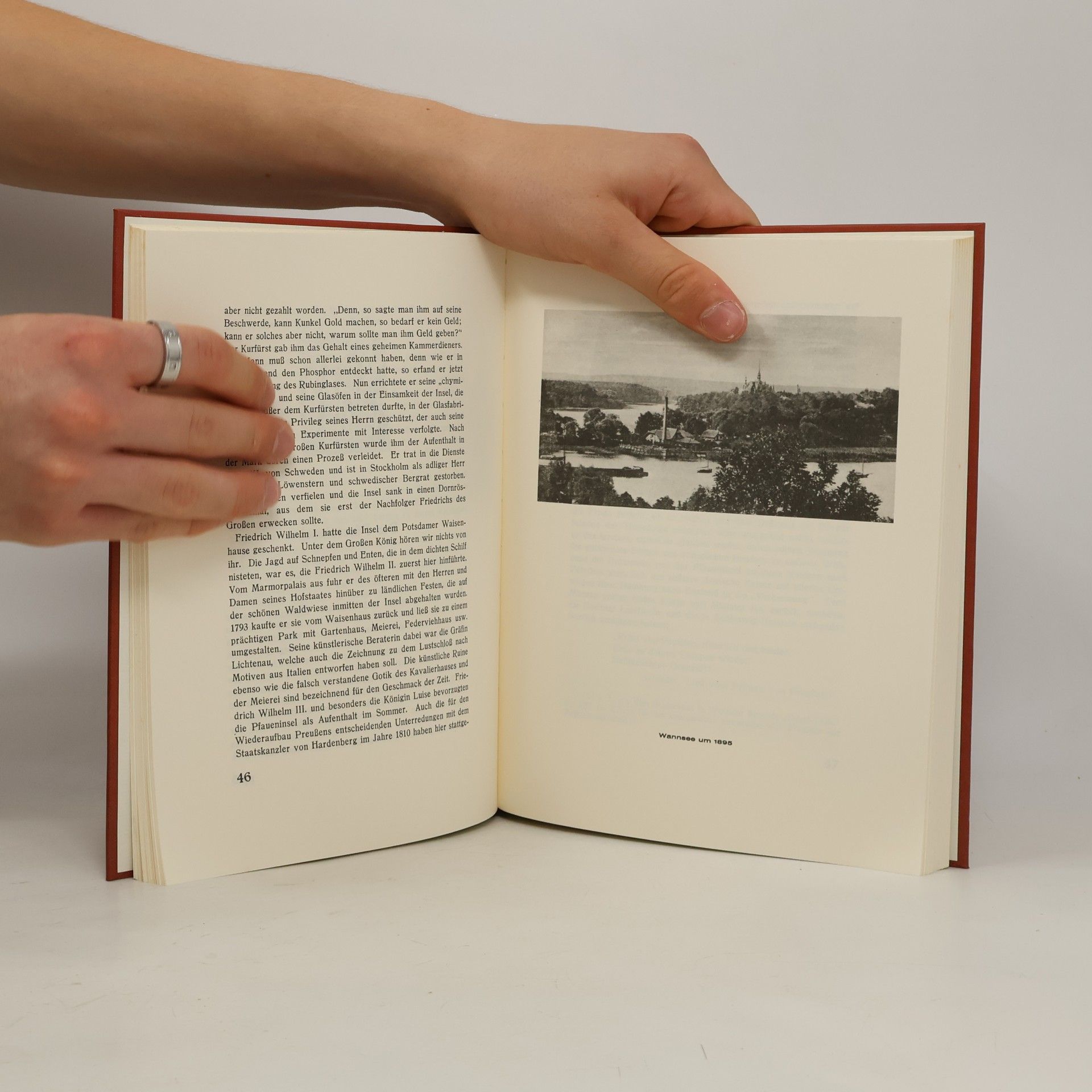 Georg Brasch Das Wannseebuch