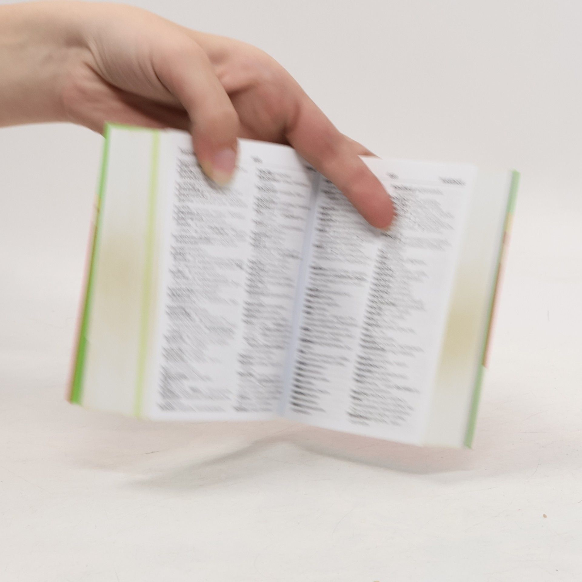 Autorenkollektiv Rusko-český, česko-ruský kapesní slovník ...nejen na cesty