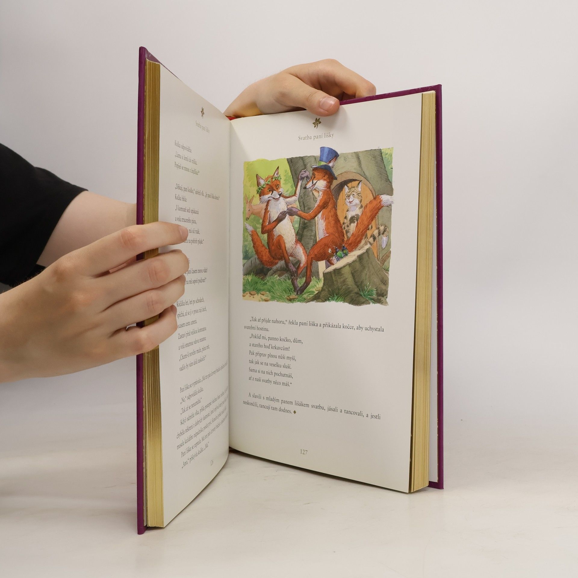 Jacob Grimm Nejkrásnější pohádky bratří Grimmů