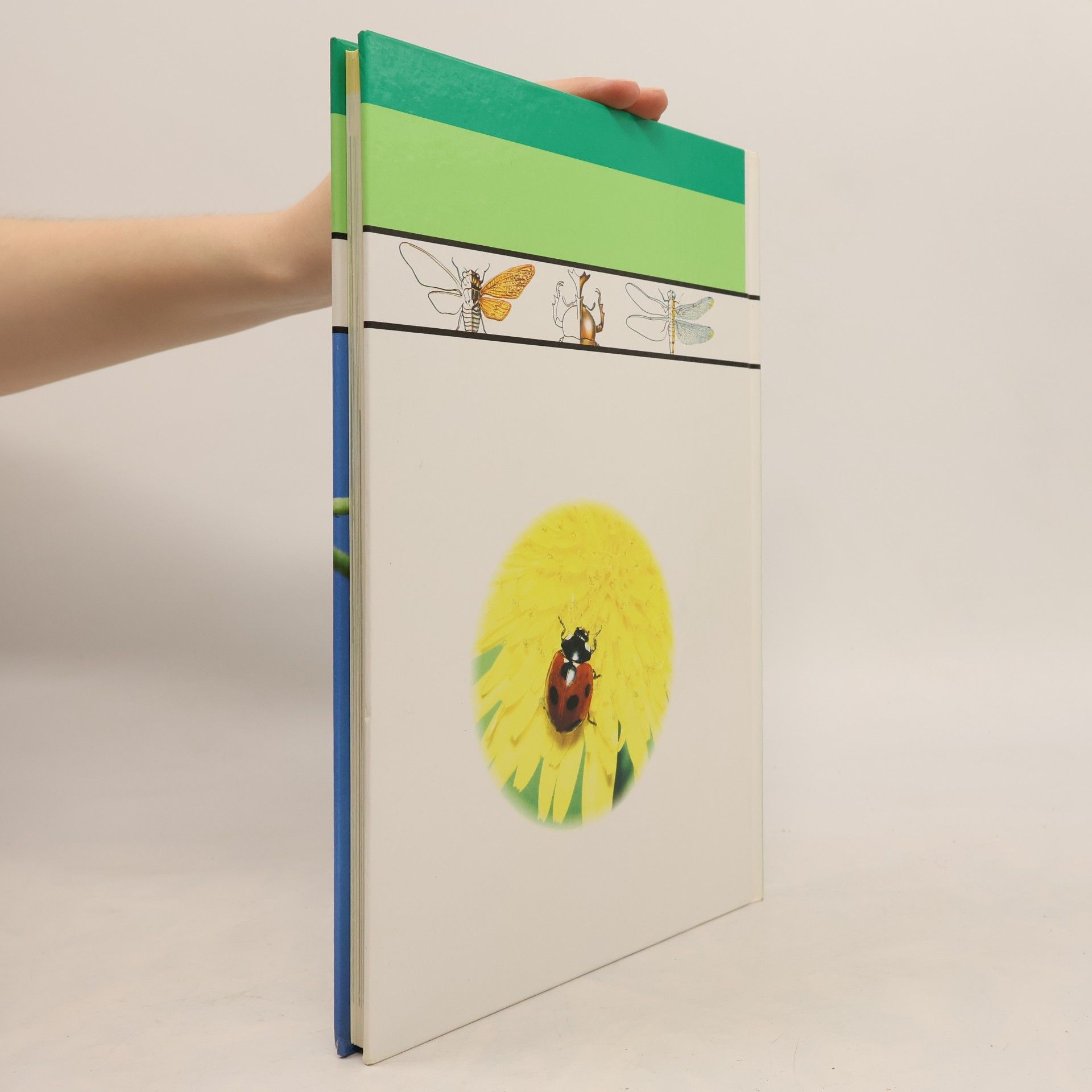 Marianne Tölle Kinder entdecken ... die Welt der Insekten