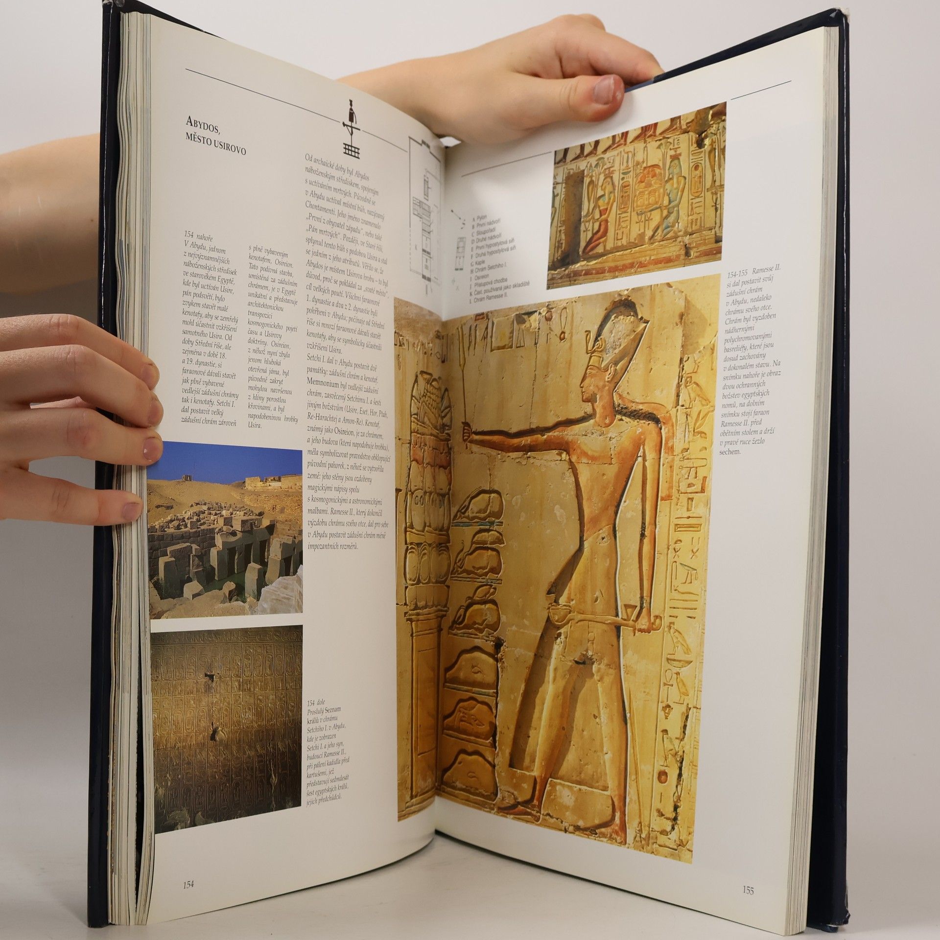 Alberto Siliotti Egypt. Chrámy, bohové a lidé