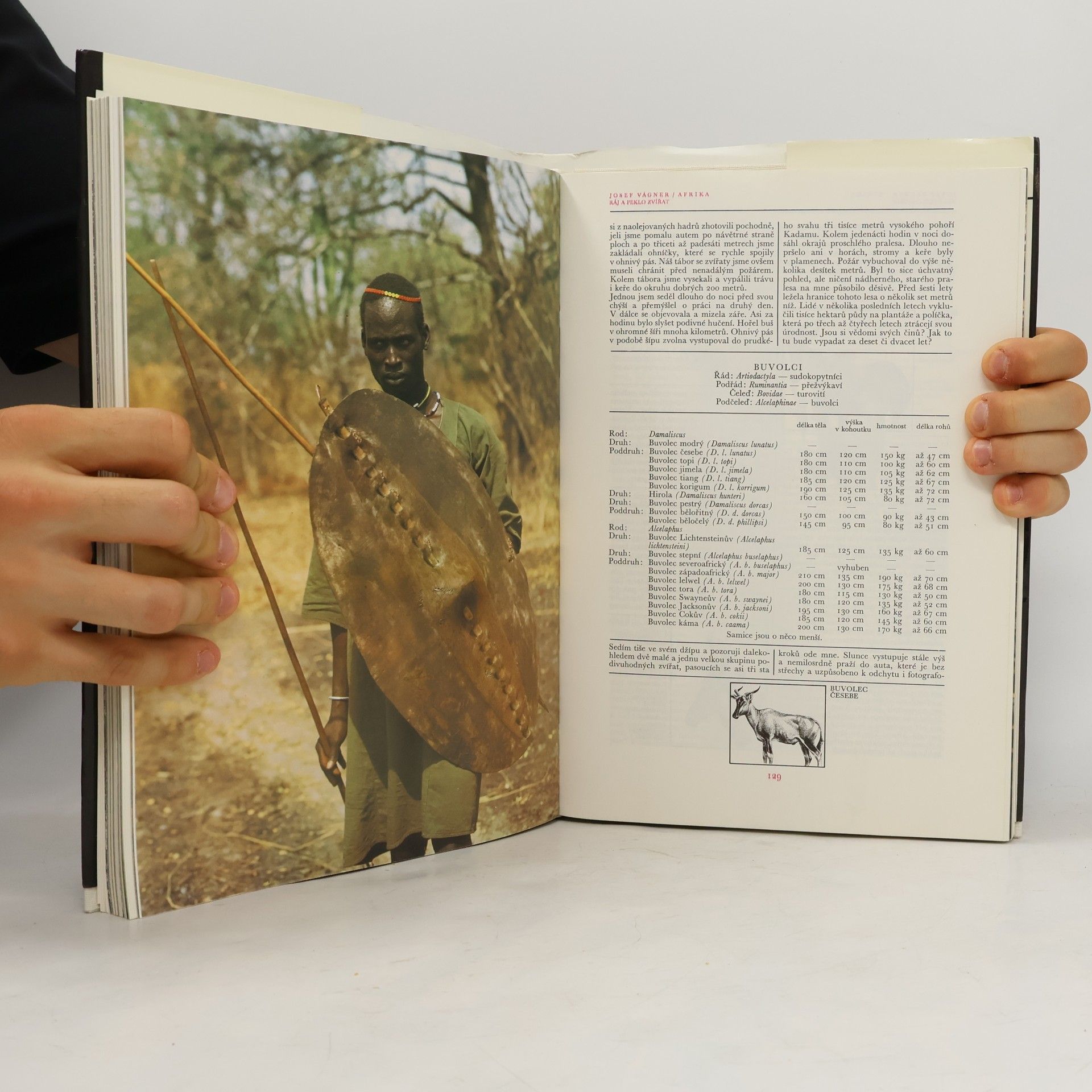 Josef Vágner Afrika. Ráj a peklo zvířat
