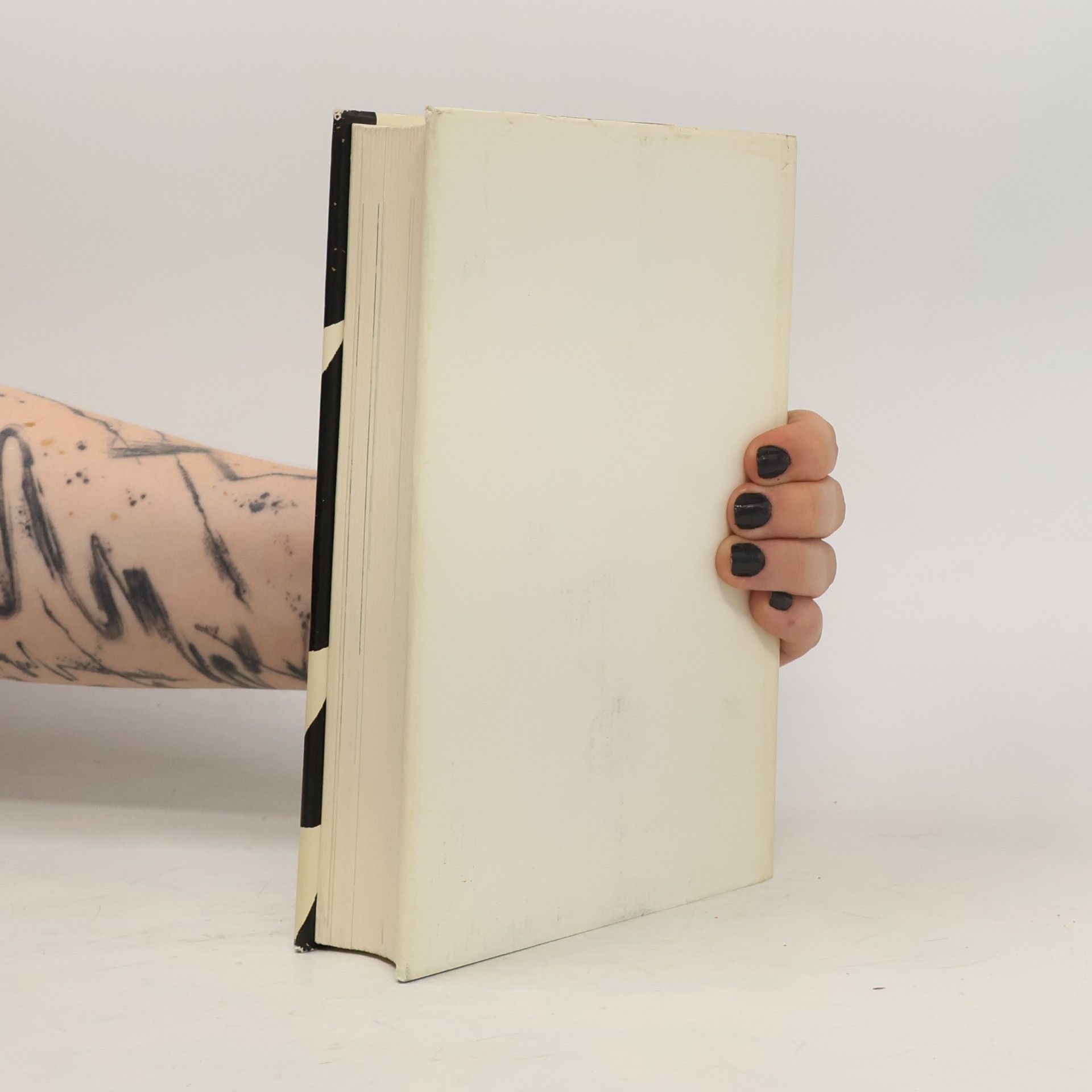Fritz Grieder Basler Stadtbuch 1968