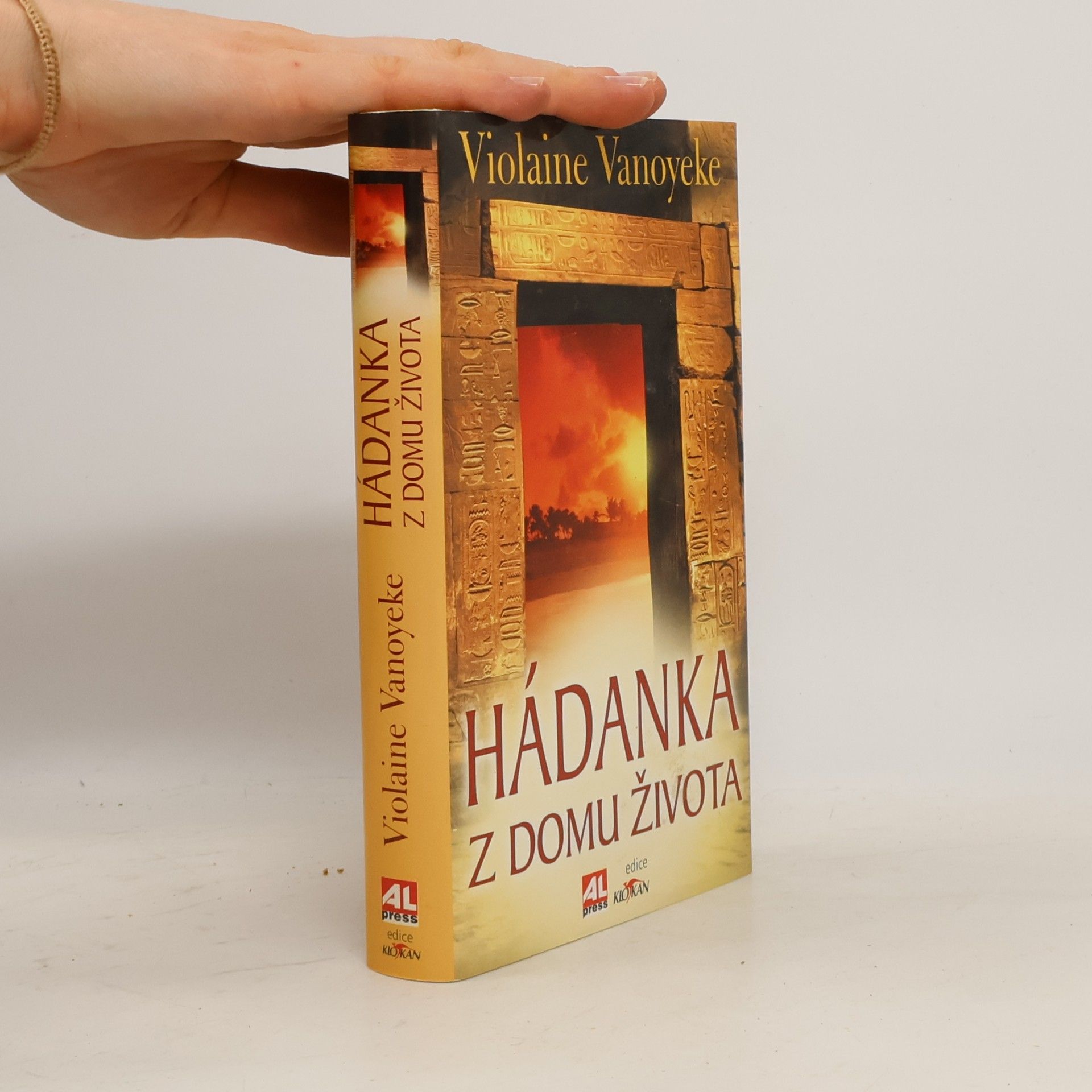 Violaine Vanoyeke Hádanka z Domu života
