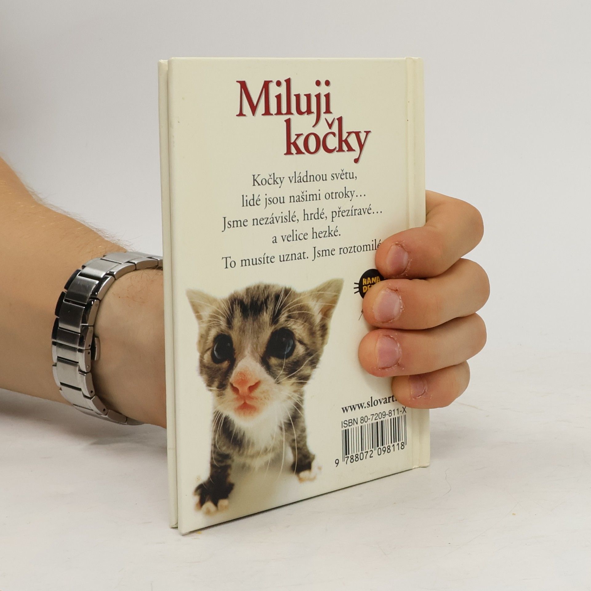 Yoneo Morita Miluji kočky