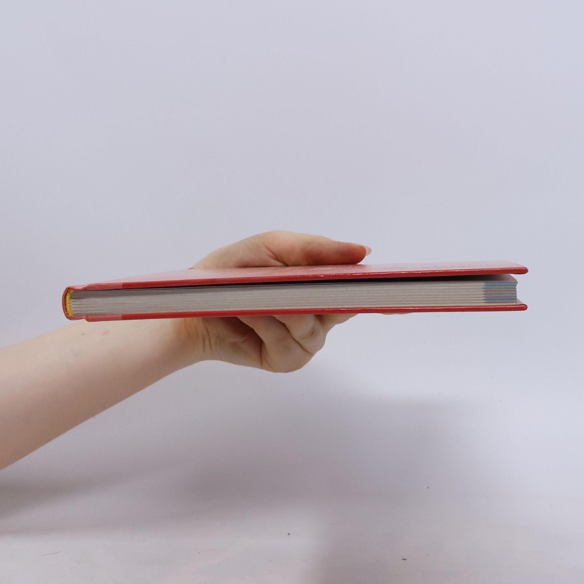 Elisabeth Schmitz-Wensch Duden, Schulgrammatik extra Englisch