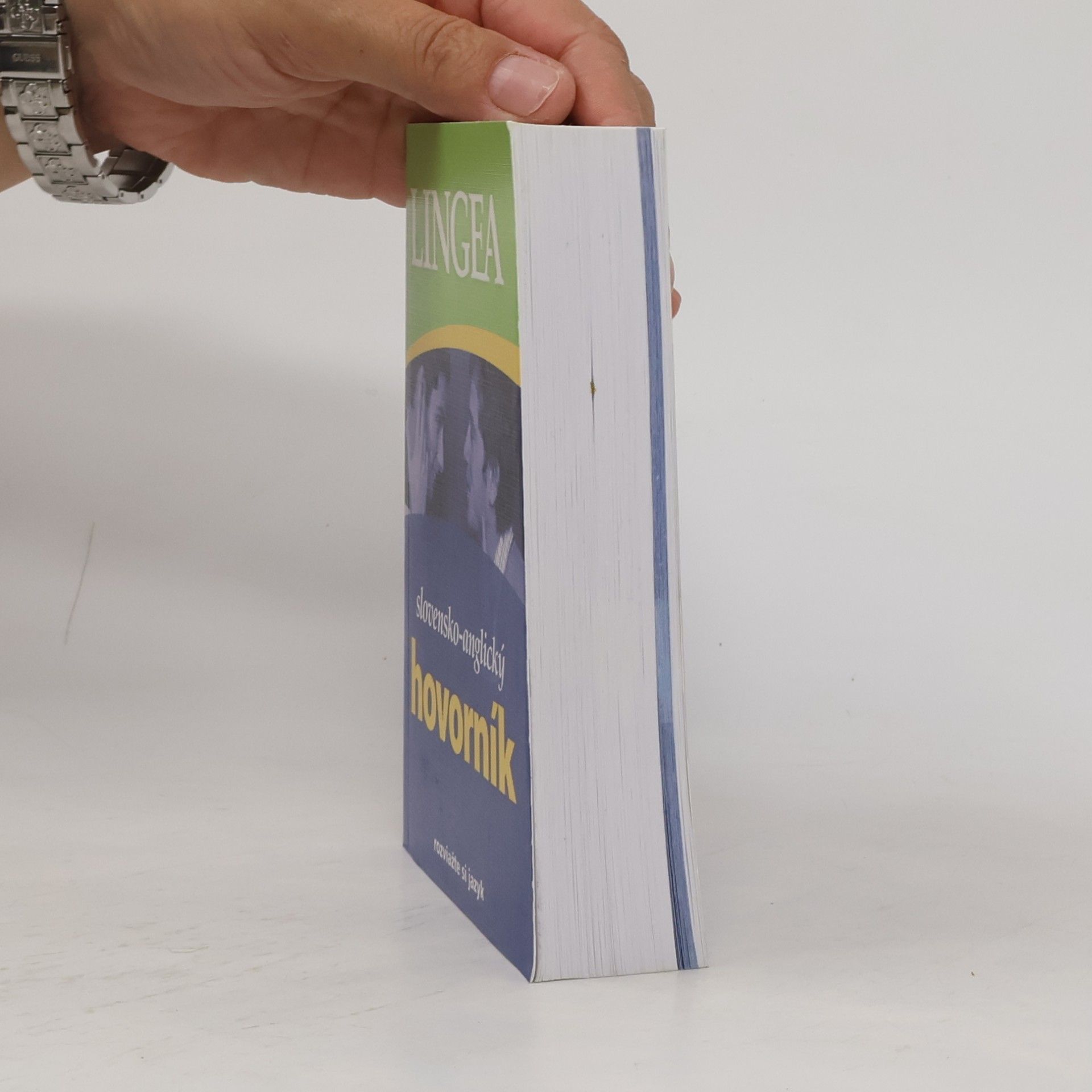 Autorenkollektiv Slovensko-anglický hovorník