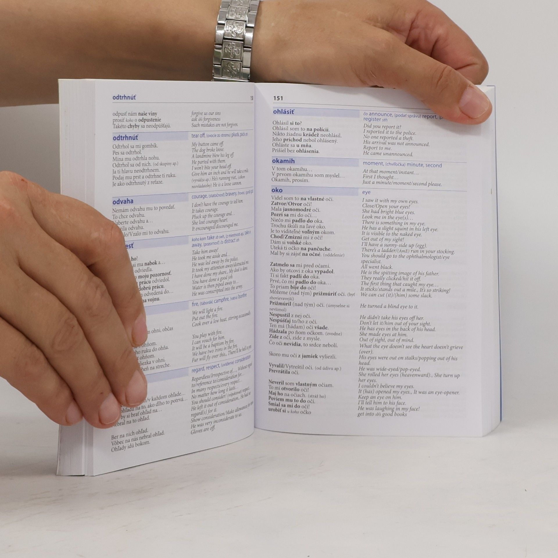 Autorenkollektiv Slovensko-anglický hovorník