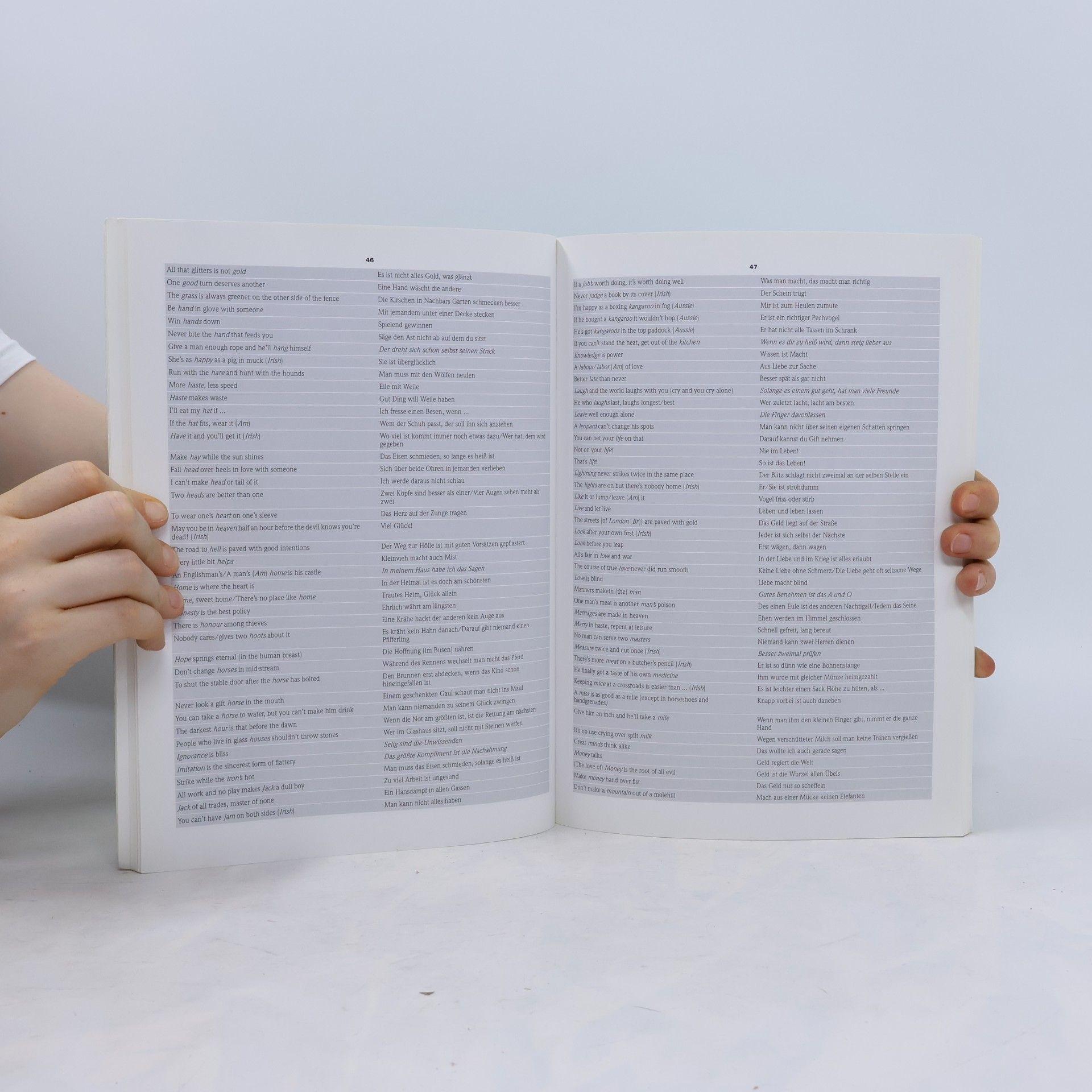 Various authors Groß wörterbuch. Englisch