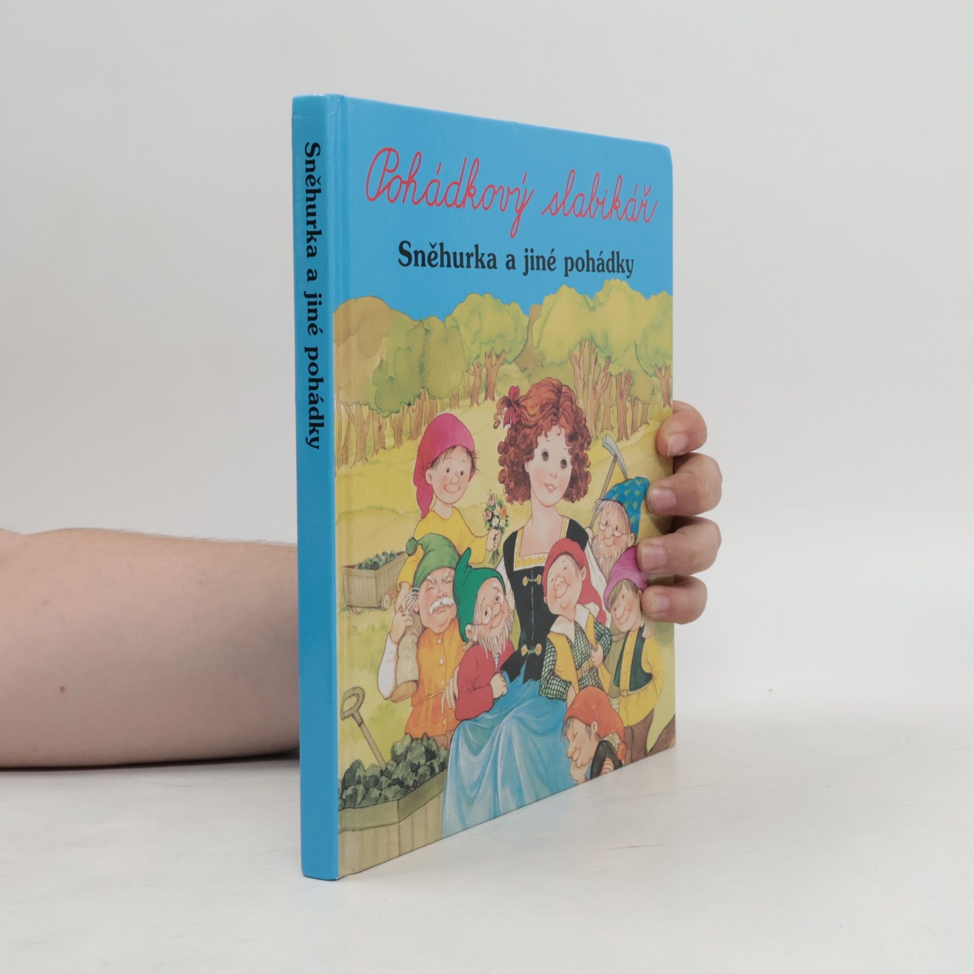 Autorenkollektiv Pohádkový slabikář. Sněhurka a jiné pohádky