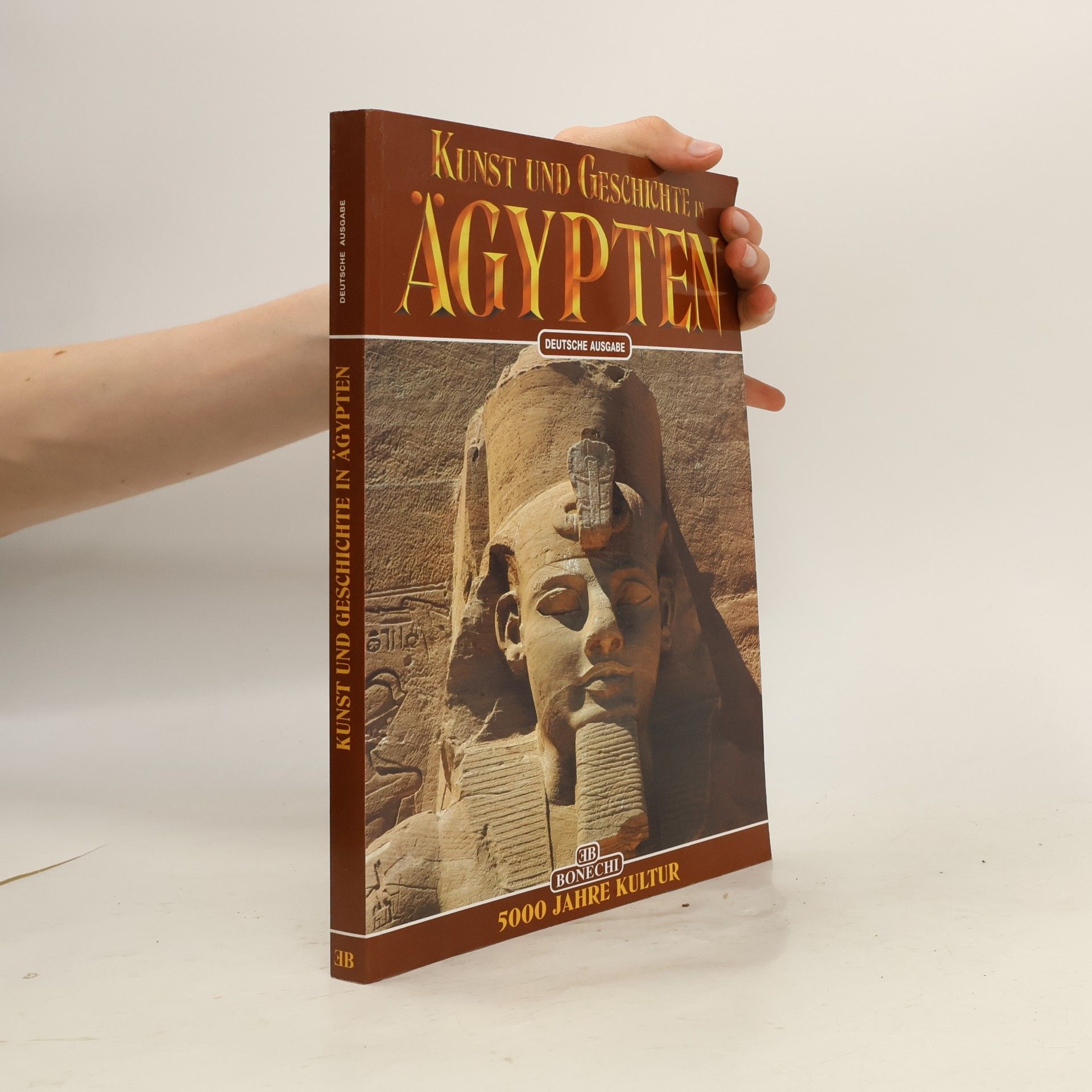 Kunst und Geschichte in Ägypten