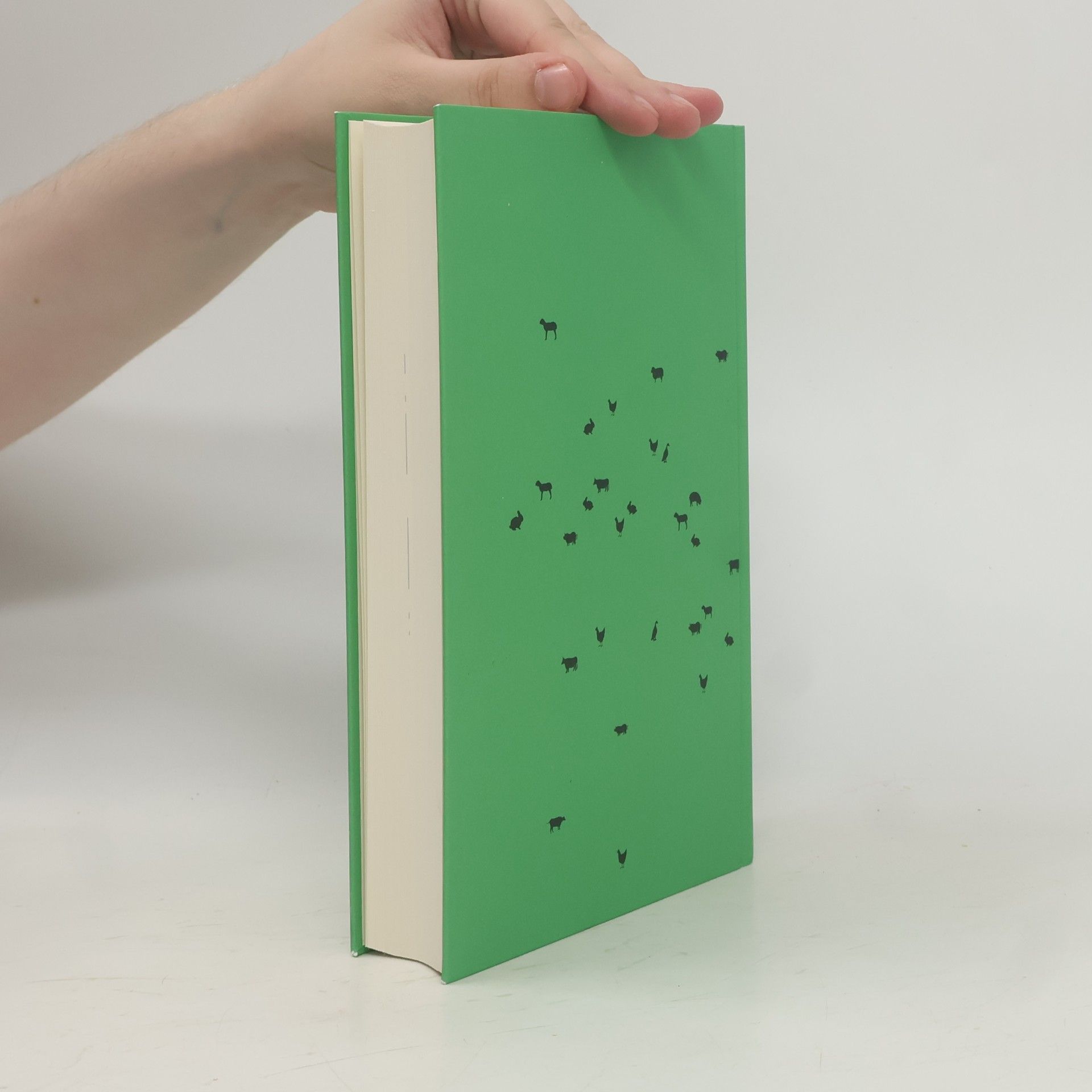 Jonathan Safran Foer Tiere Essen