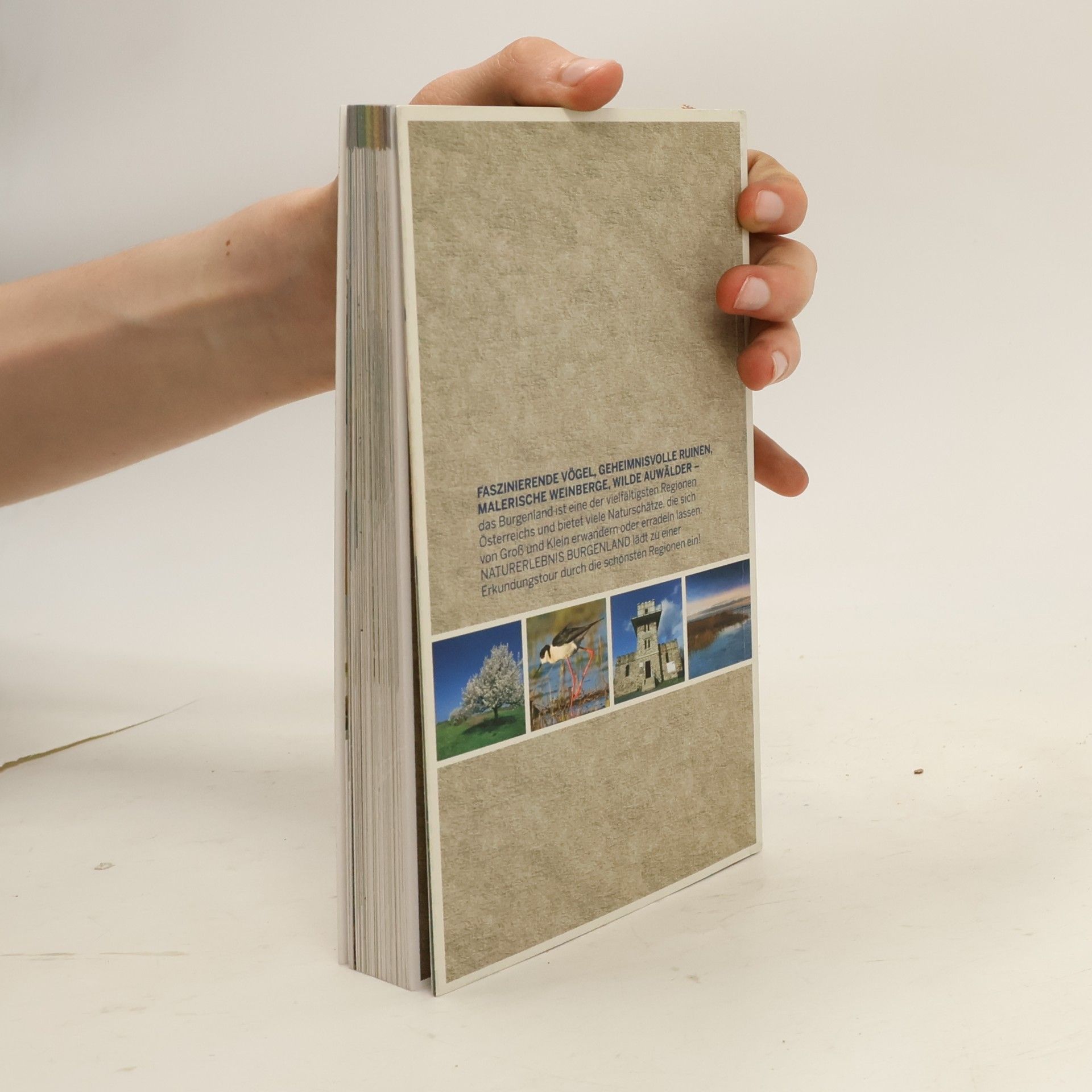 Autorenkollektiv Naturerlebnis Burgenland