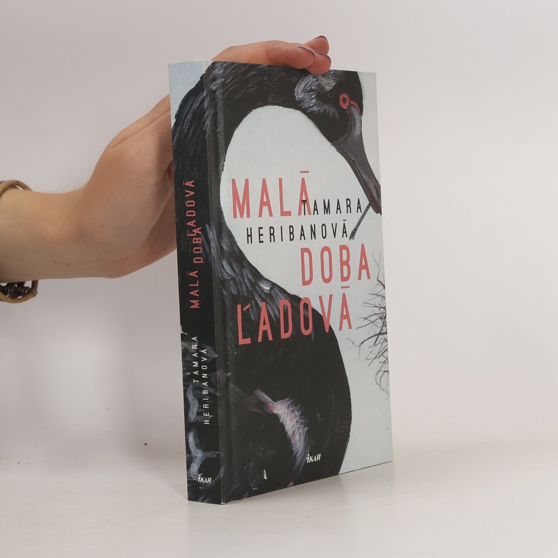 Tamara Heribanová Malá doba ľadová