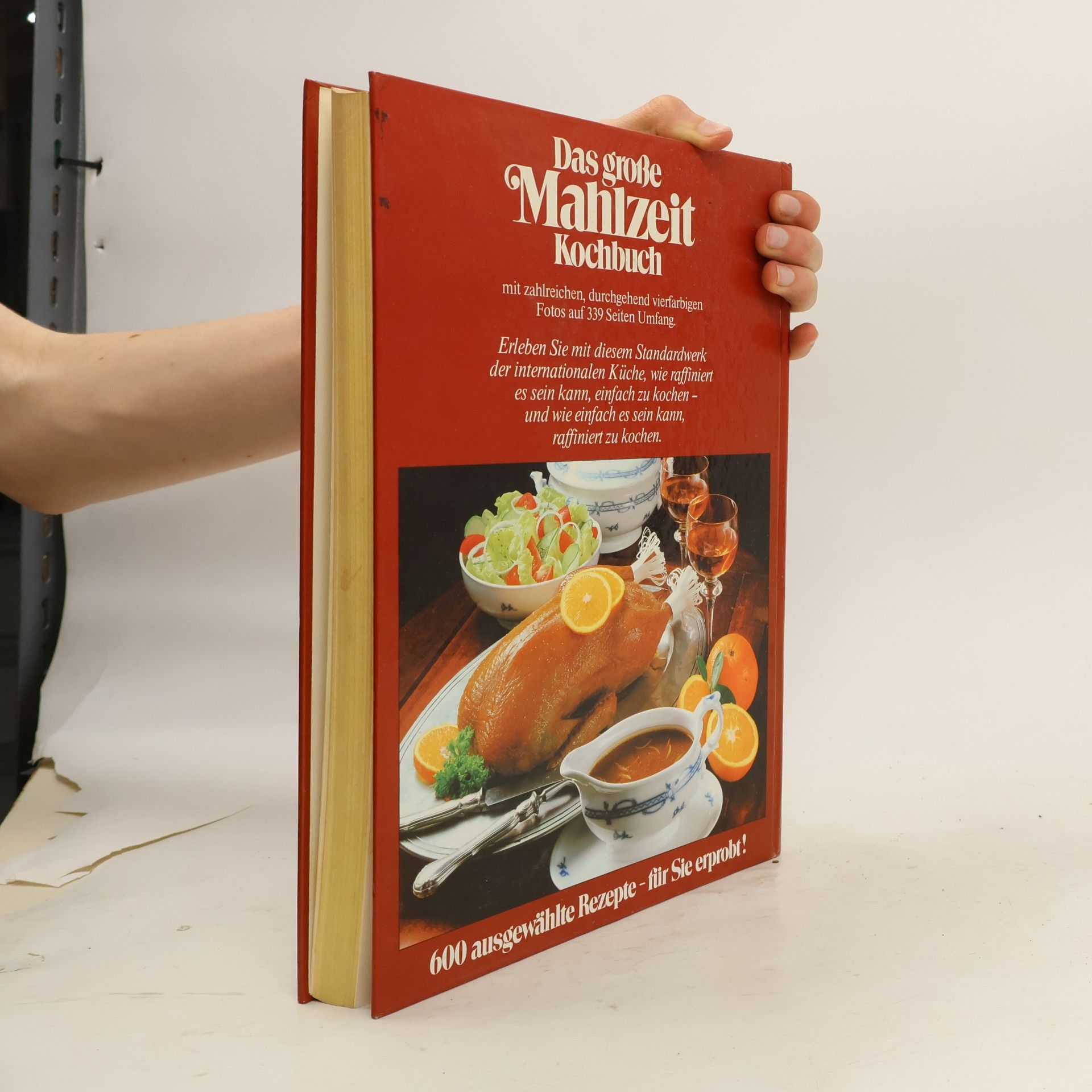 Hans J. Fahrenkamp Das große Mahlzeit Kochbuch