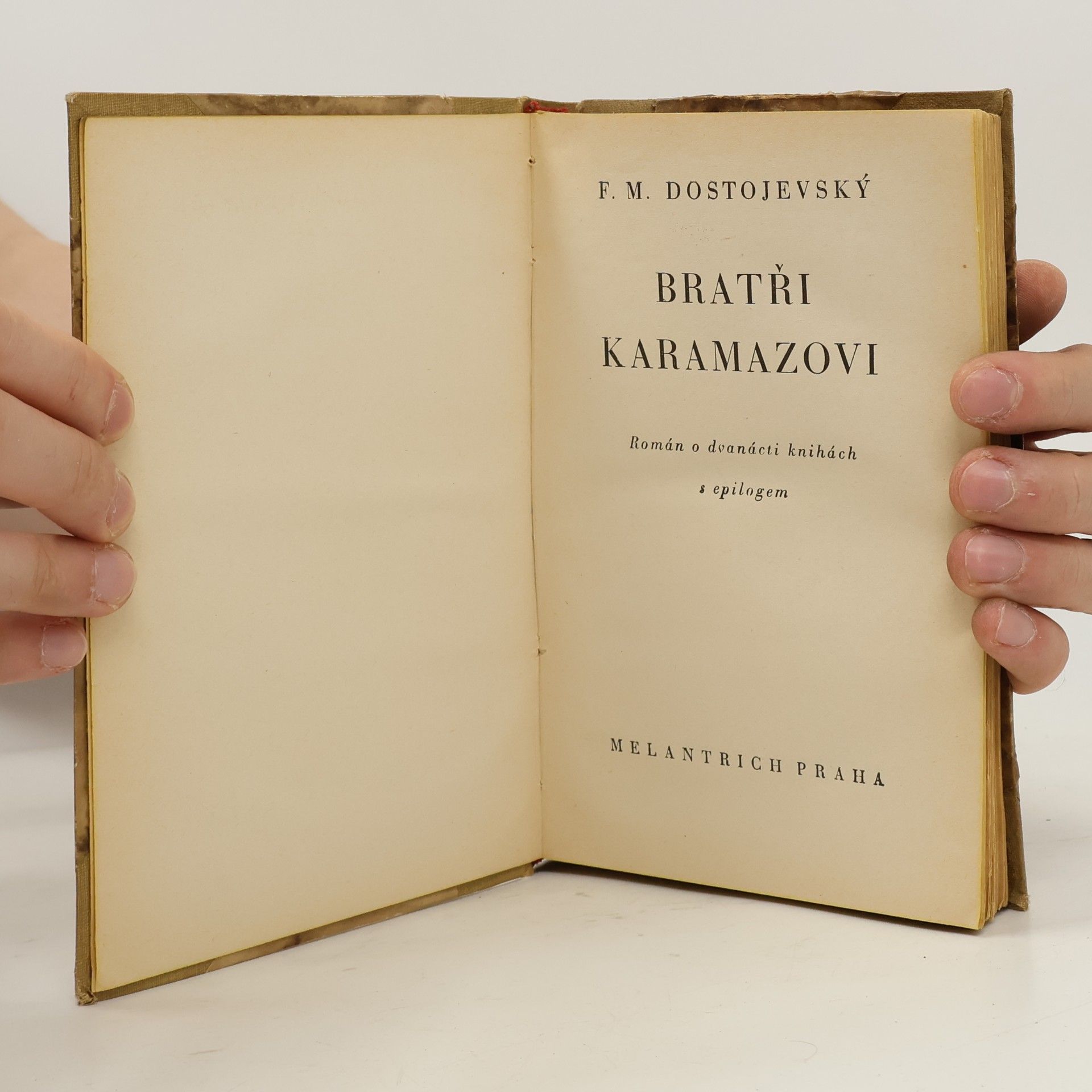 Fyodor Dostoyevsky Bratři Karamazovi 2
