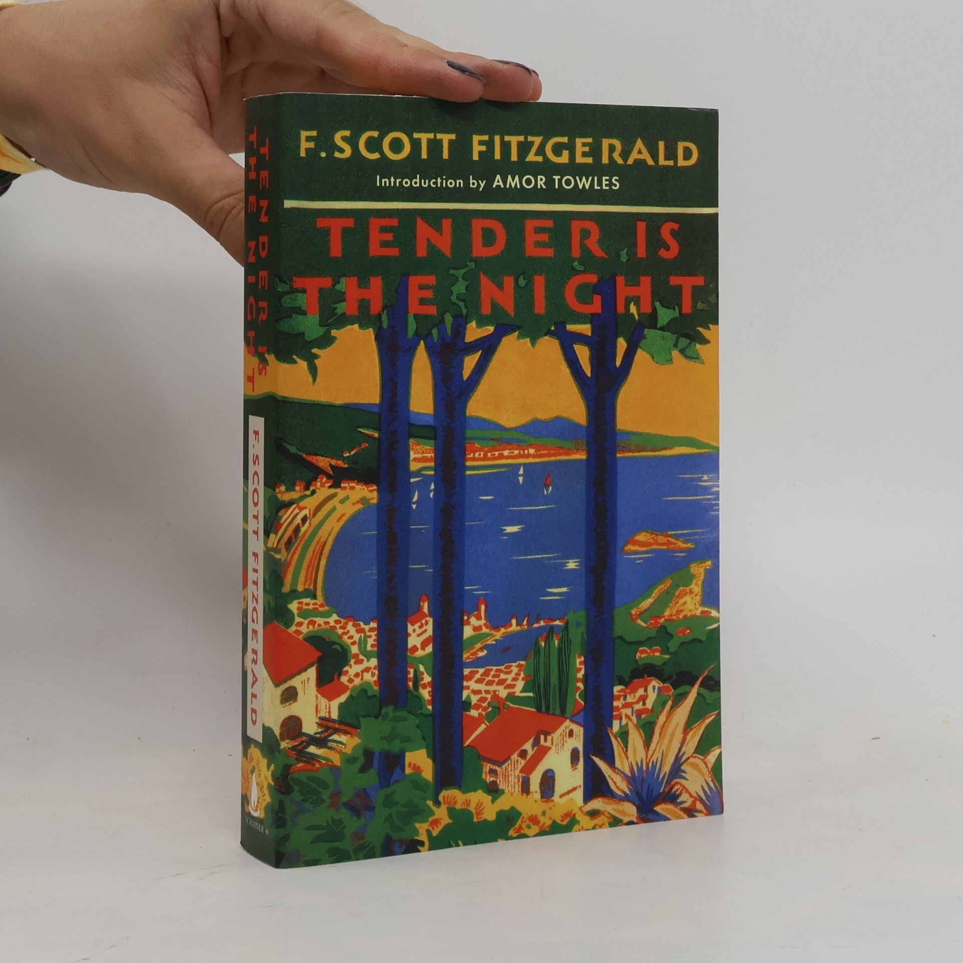Francis Scott Fitzgerald Tender is the Night