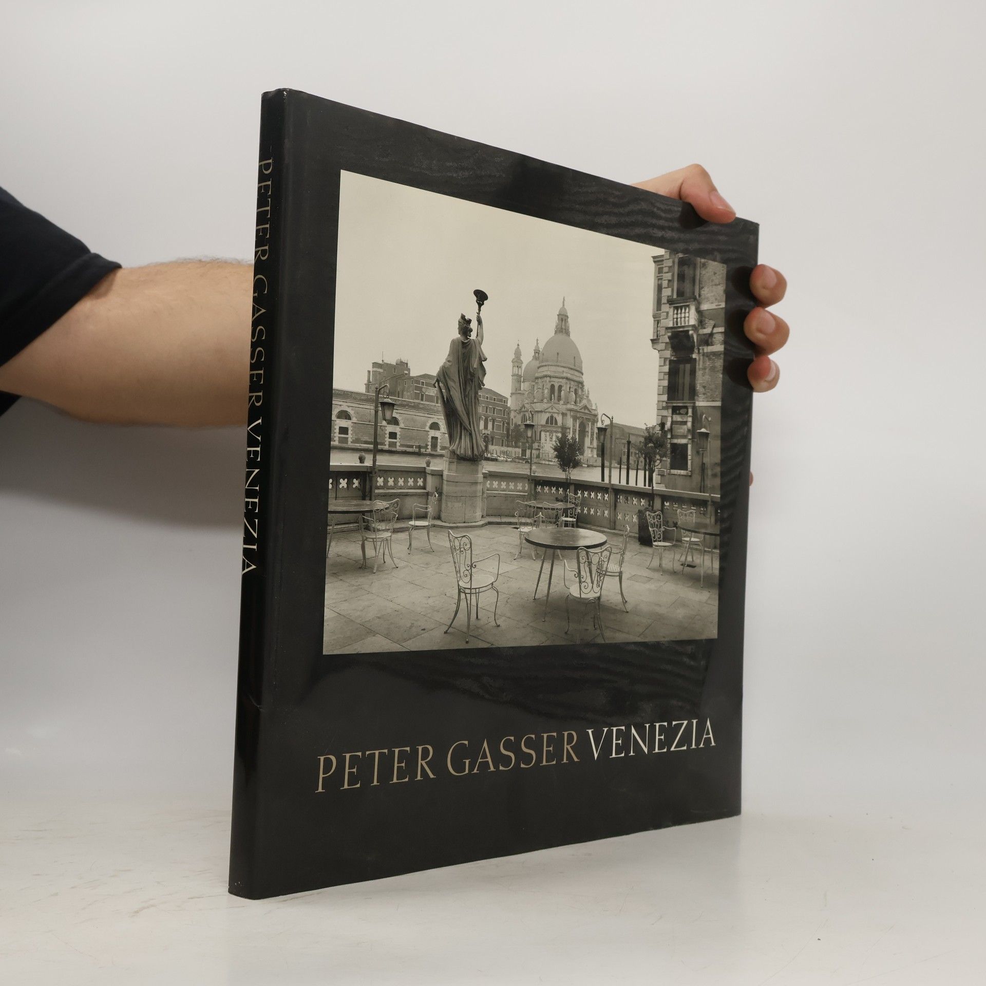Peter Gasser Venezia