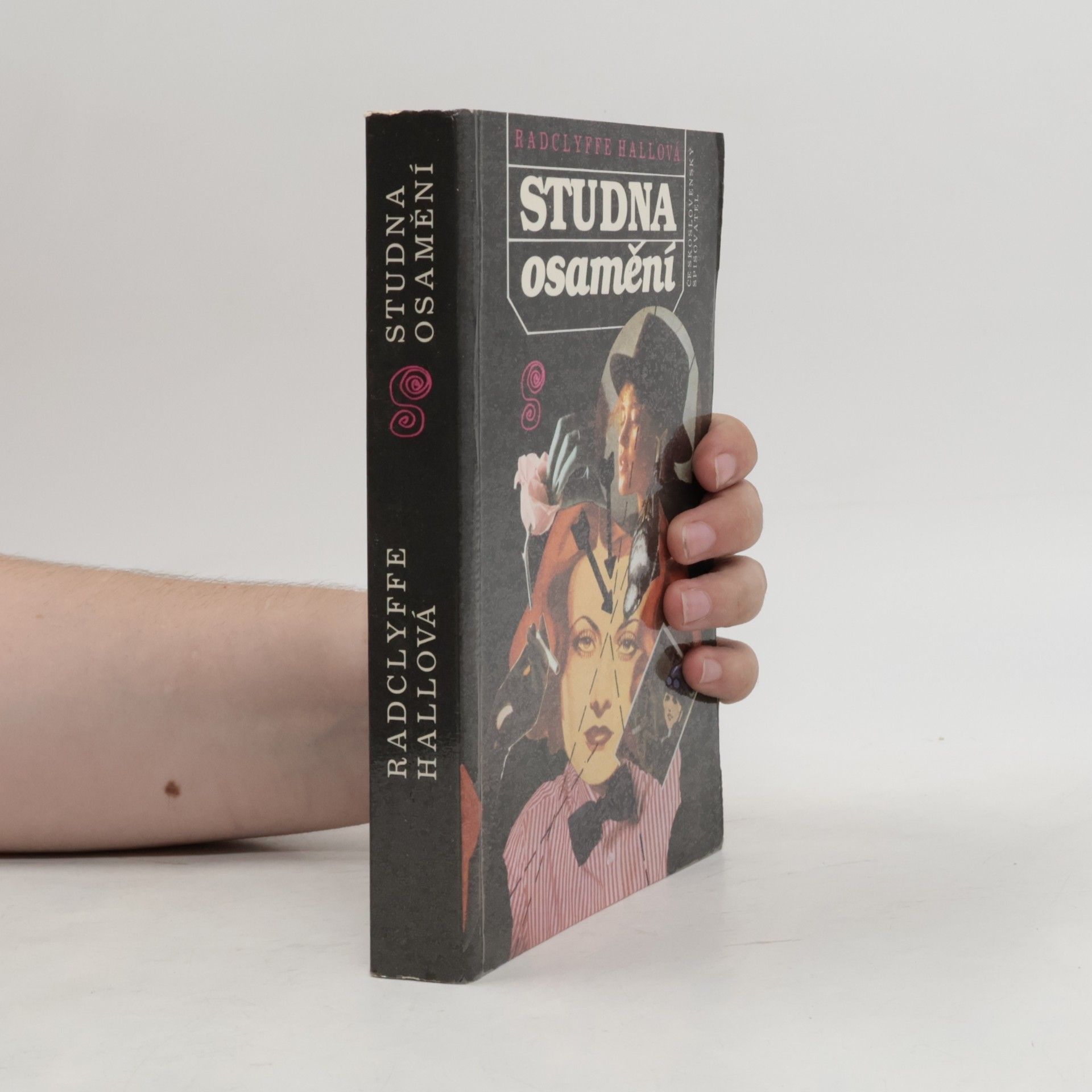 Radclyffe Hall Studna osamění