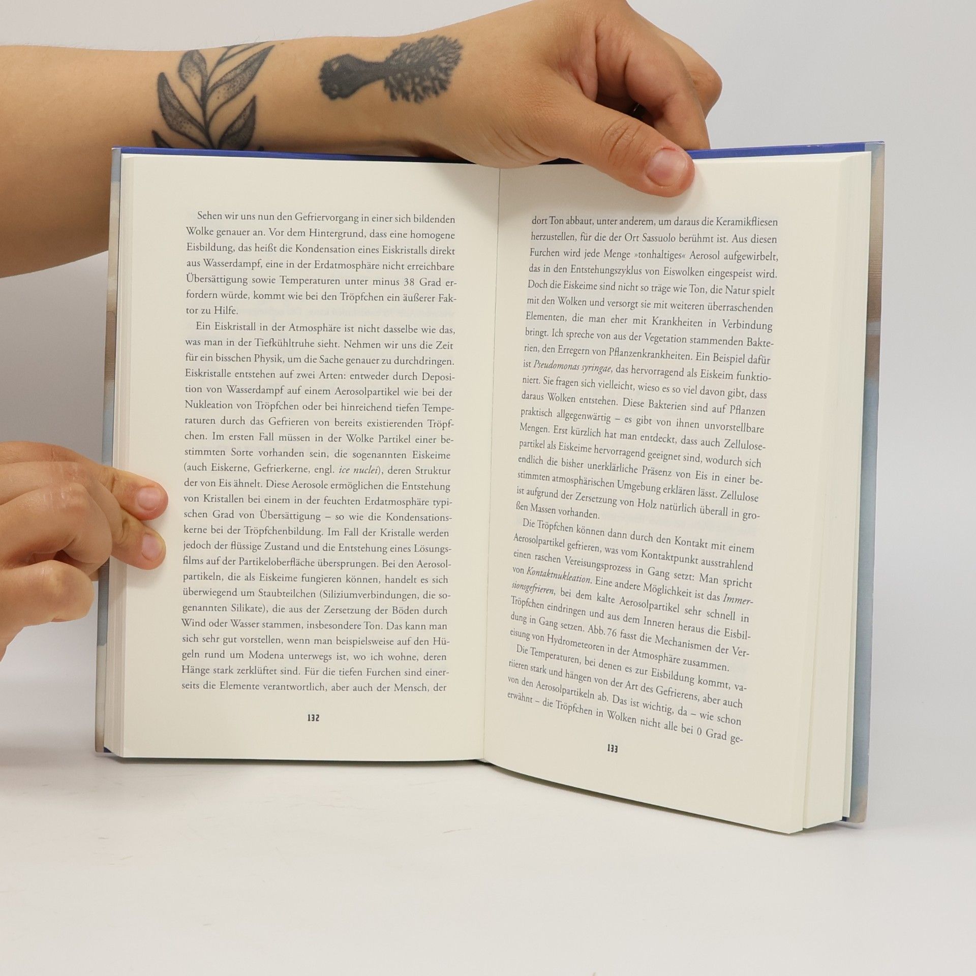 Vincenzo Levizzani Das Geheimnis der Wolken. Handbuch zum Lesen des Himmels
