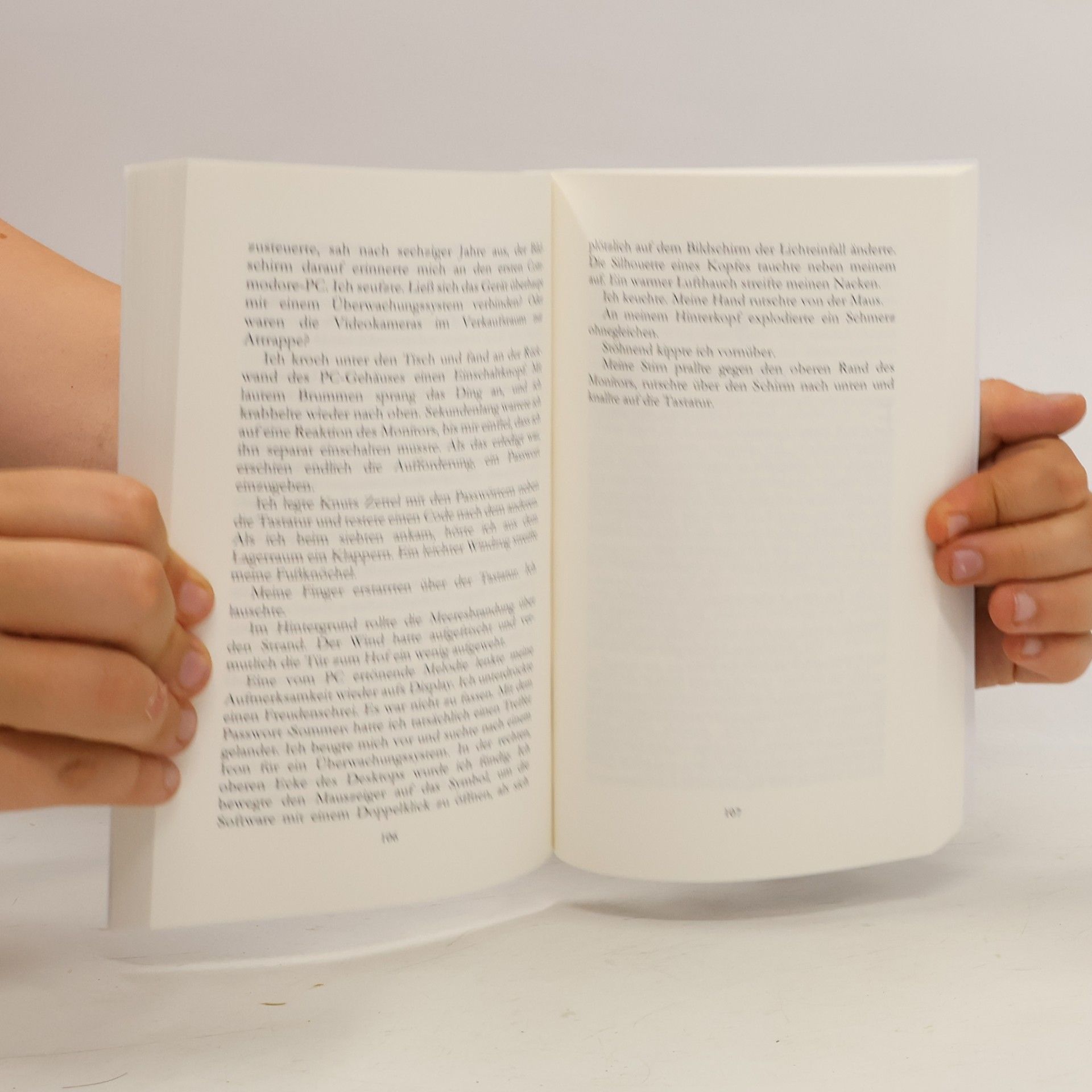 Rosi Wanner Luise - 6: Seesternchen und Friesenschnaps
